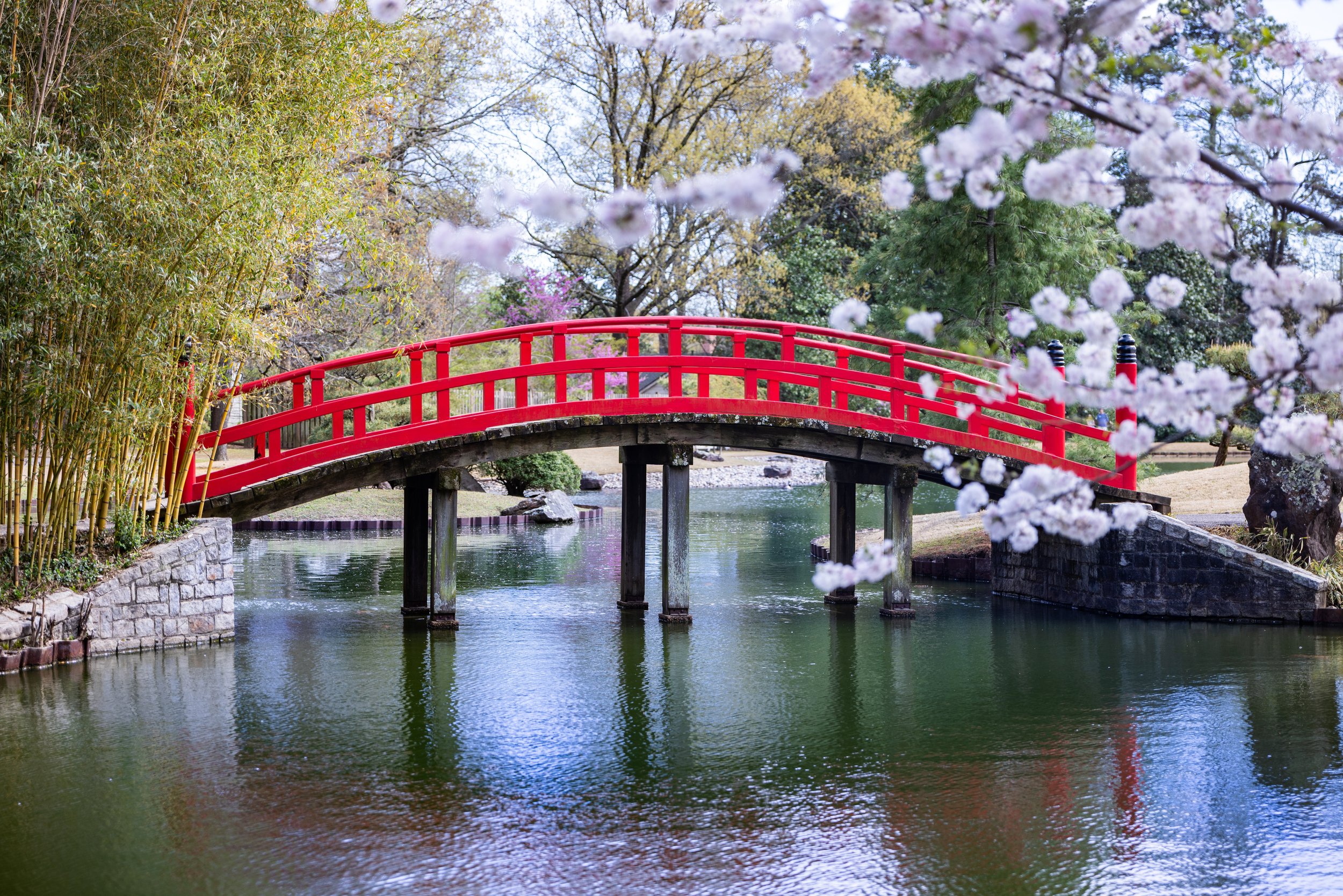 Japanese Garden.jpeg