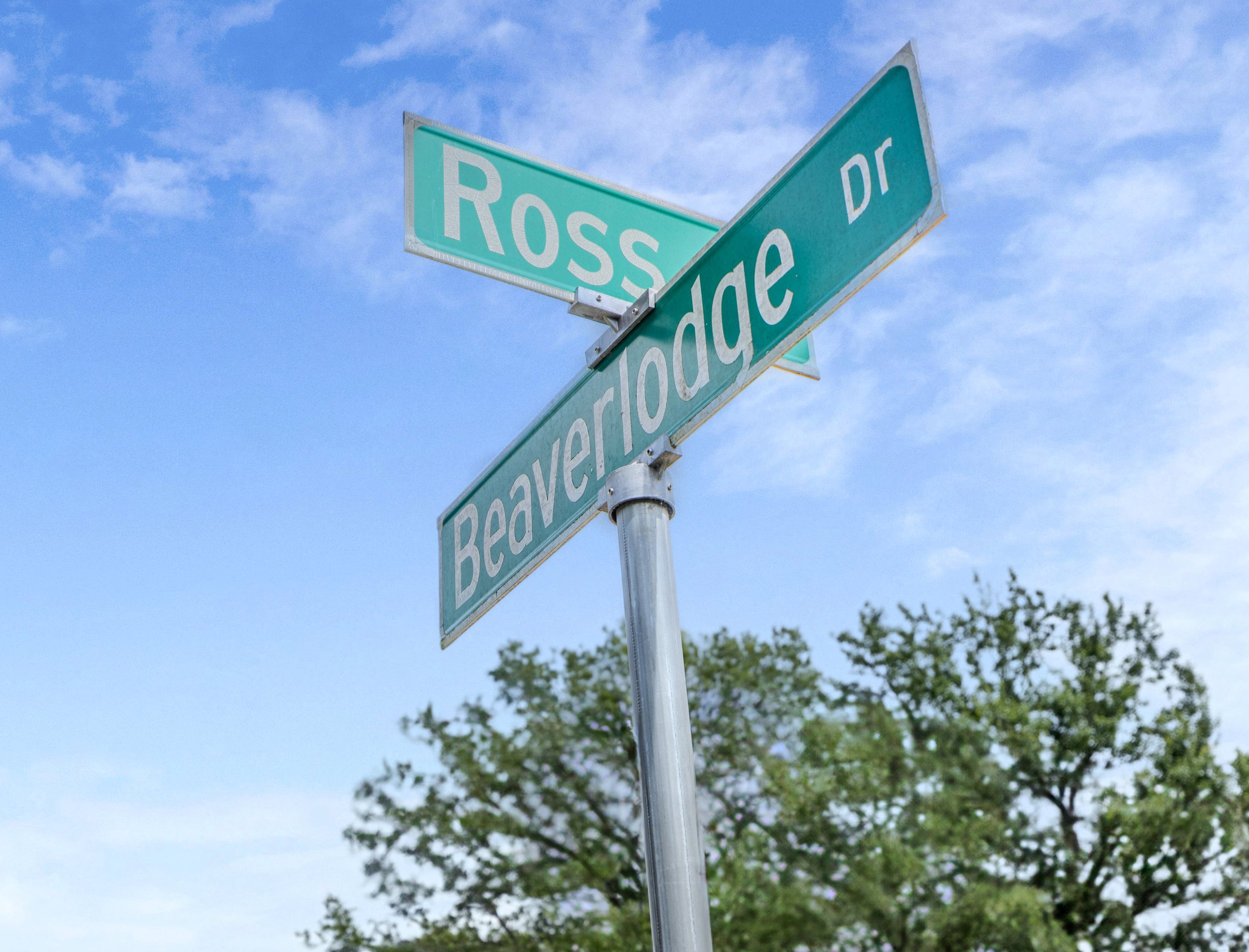 4447 Ross-38.jpg
