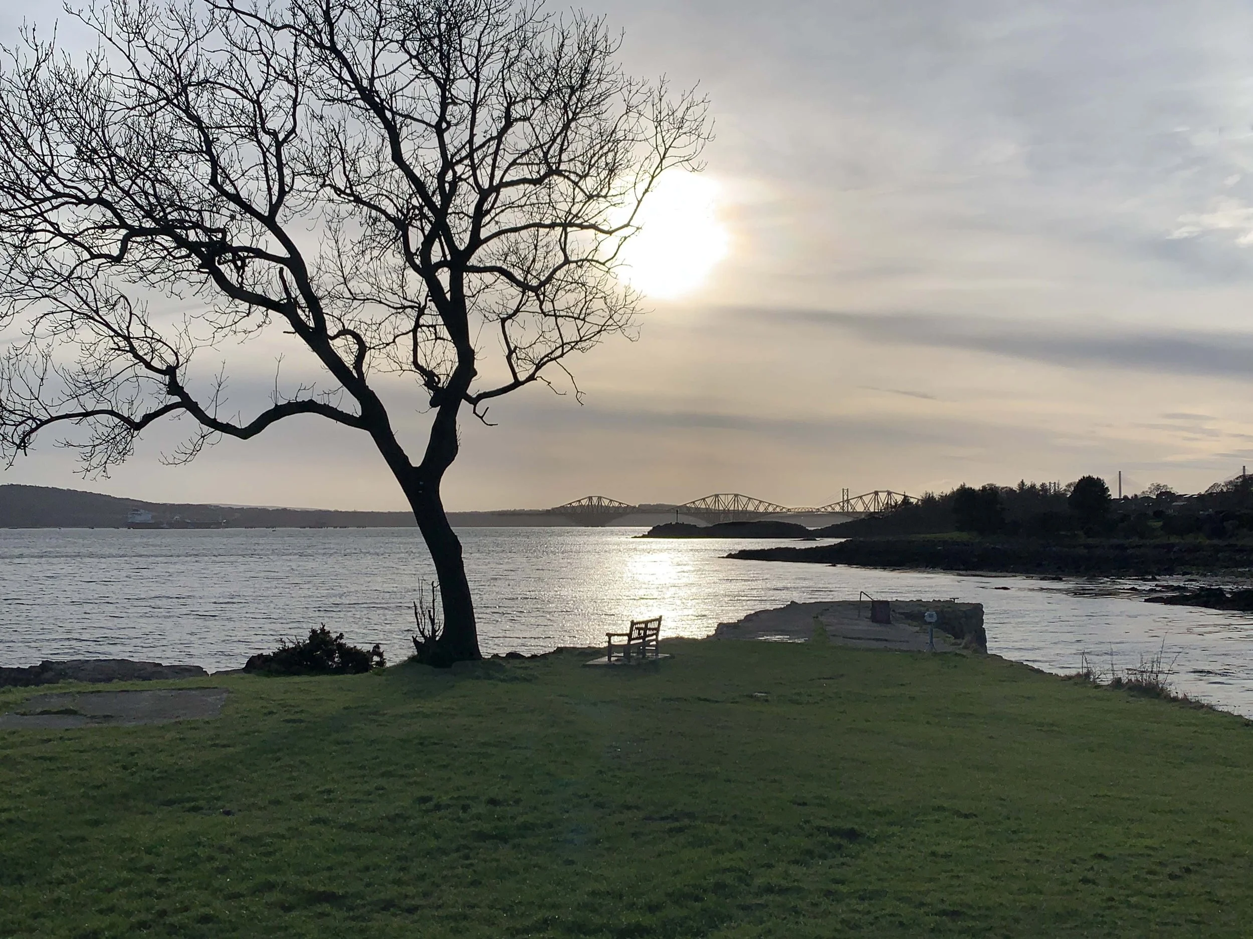 A peaceful lakeside scene with a leafless tree close to the water, a bench on the grass, and a distant bridge under a cloudy sky at sunset. Dalgety Bay.