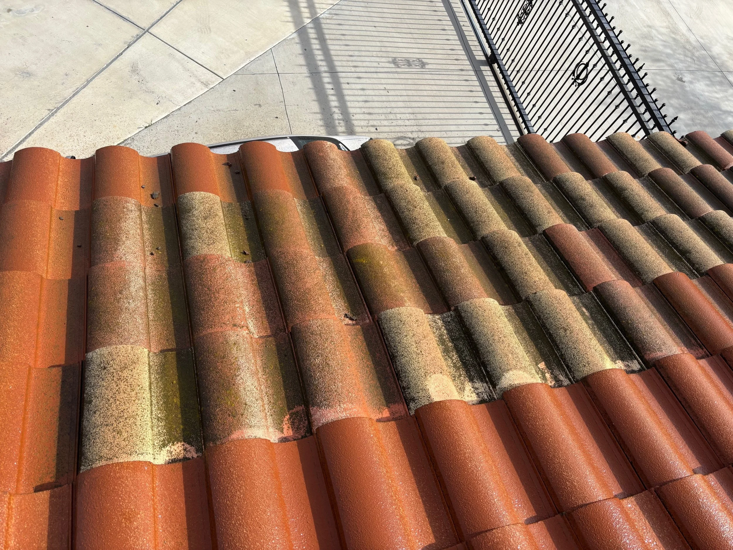 Close-up of a weathered, moss-covered tile roof with a sidewalk and shadowed fence in the background.