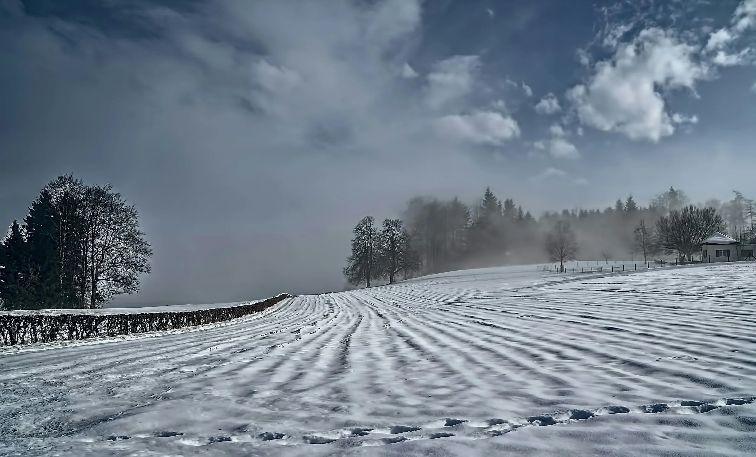 An Adventure in Winter Sowing