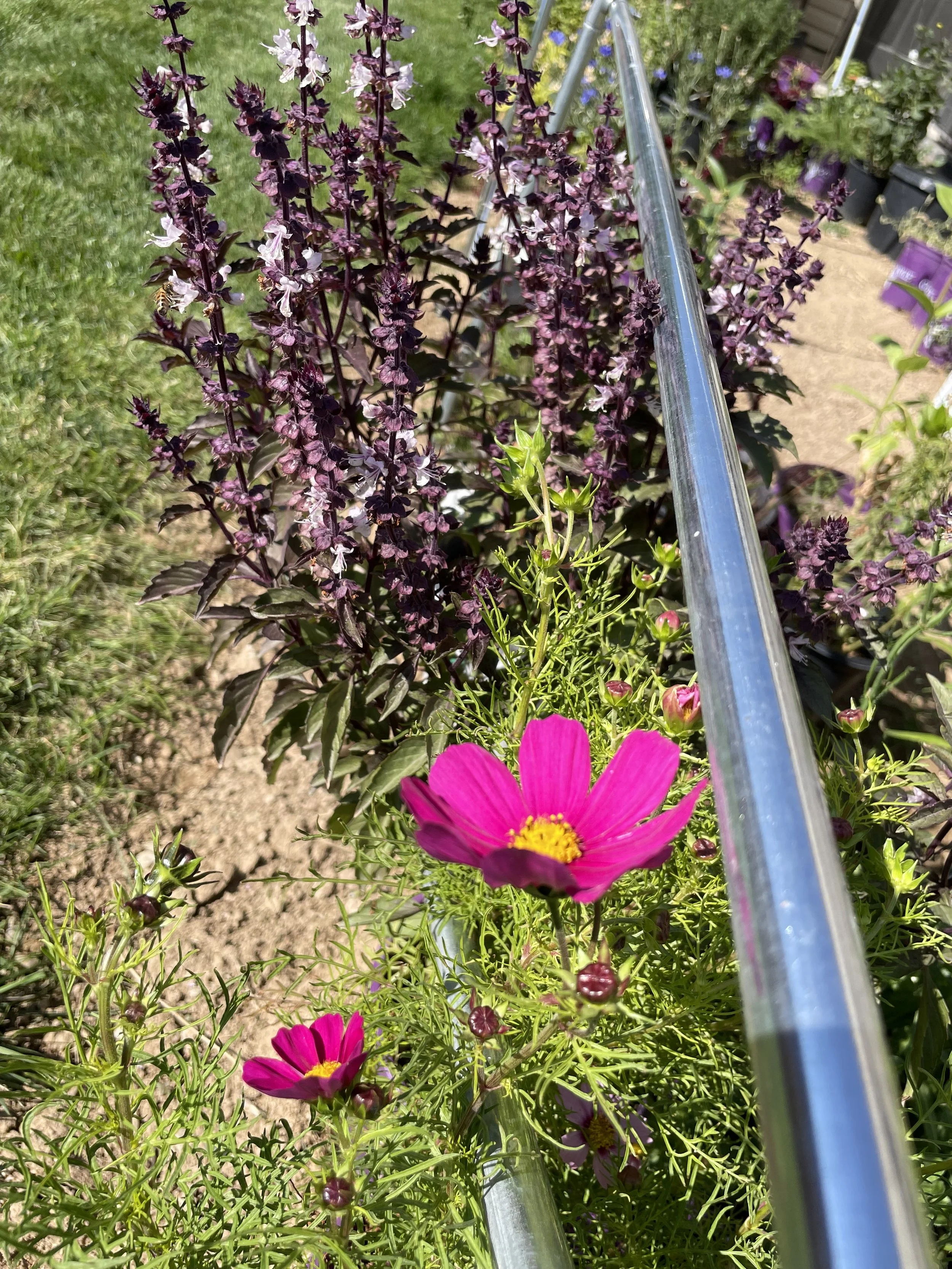 How I Set My Garden Up for Success