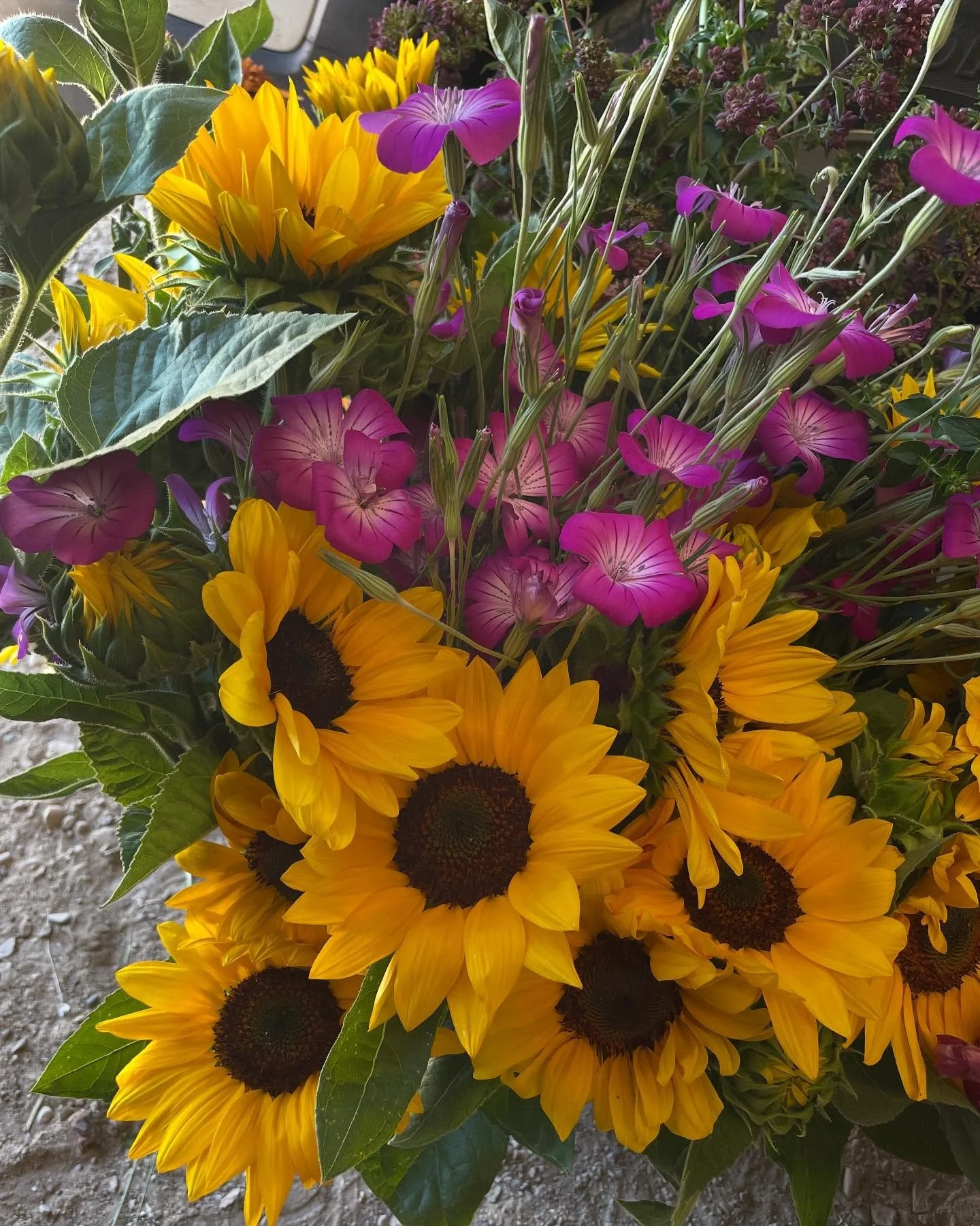 Whimsical Arrangement Helper