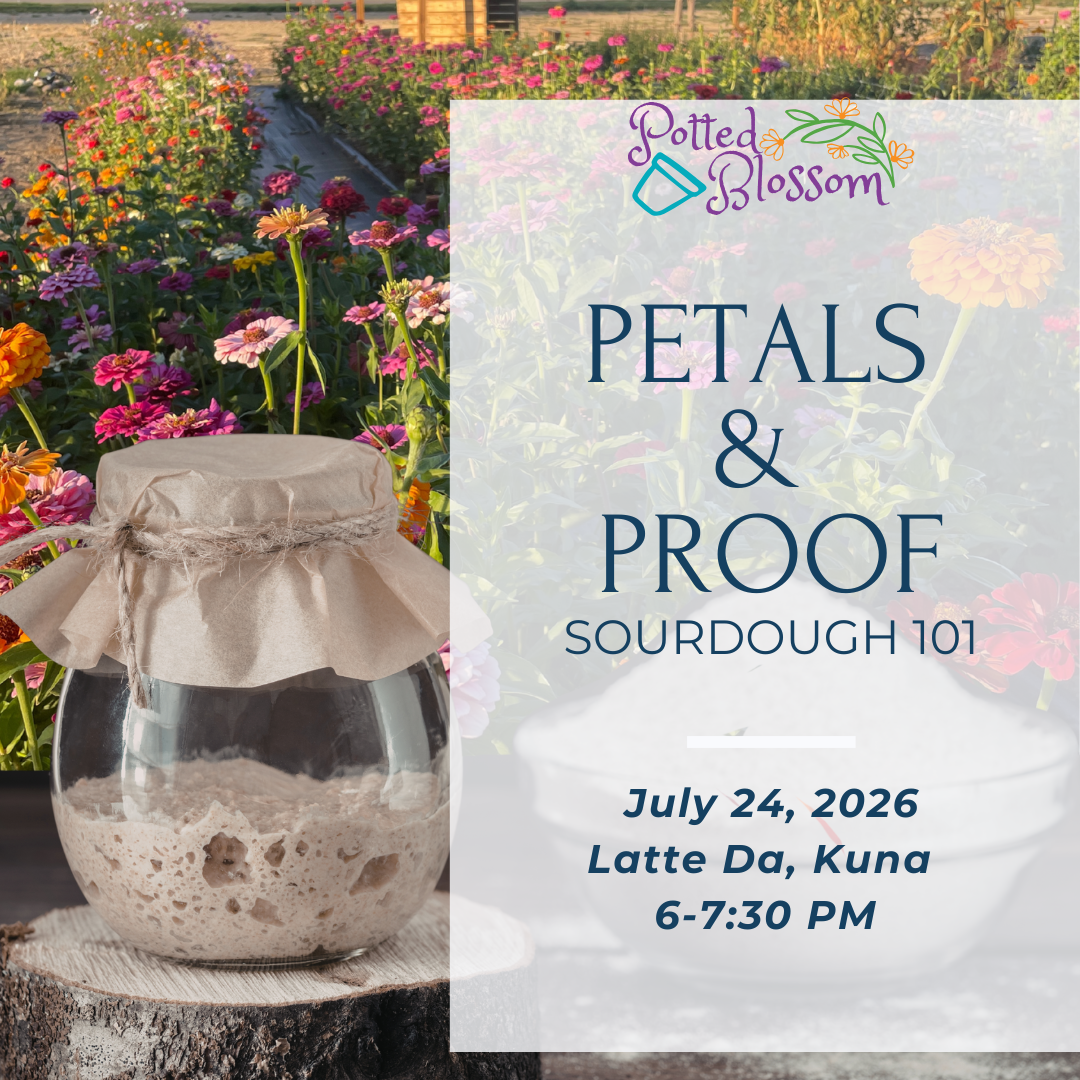 Petals & Proof - sourdough 101