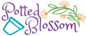 Potted Blossom