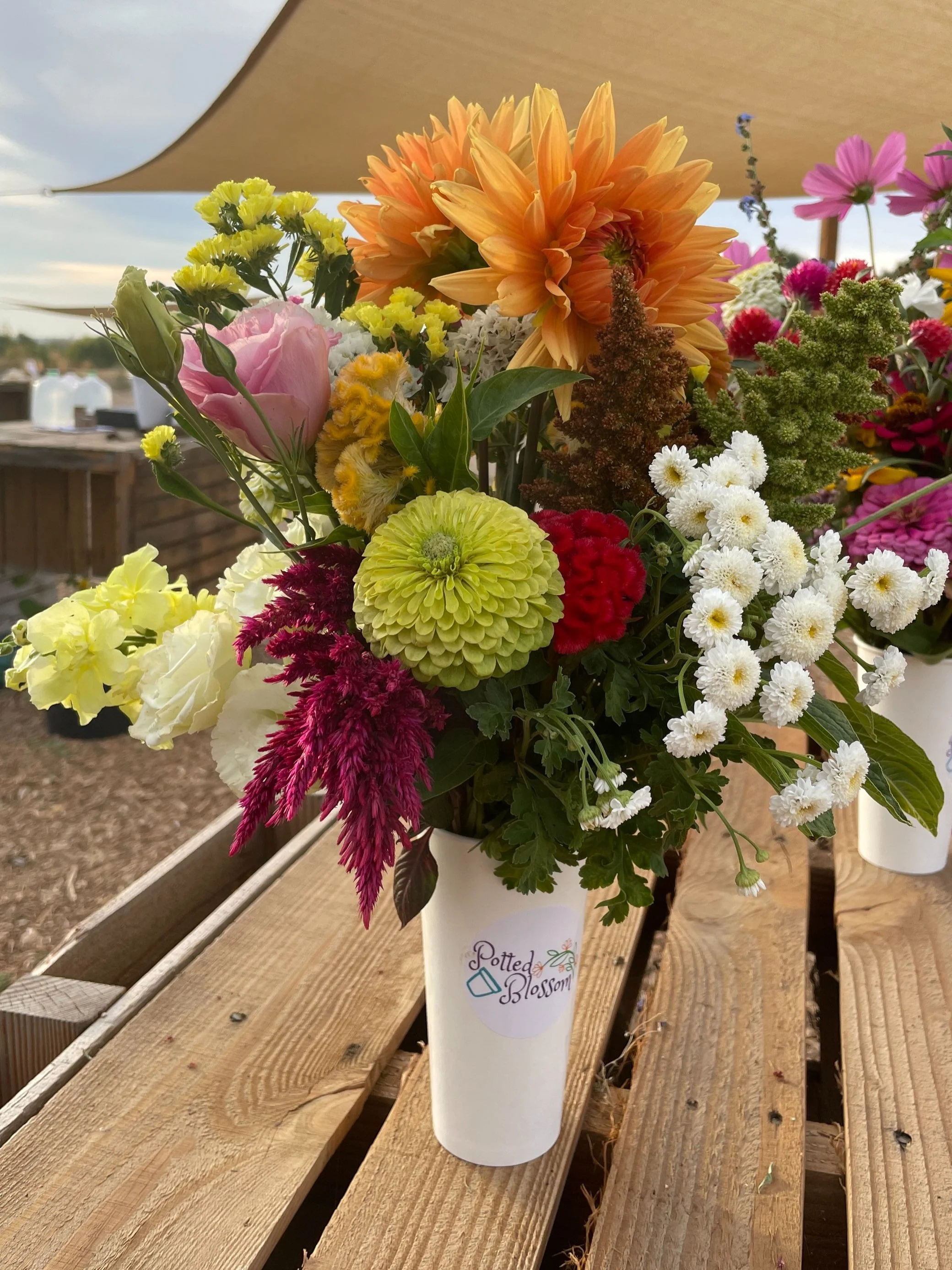 Blooms & Brushstrokes