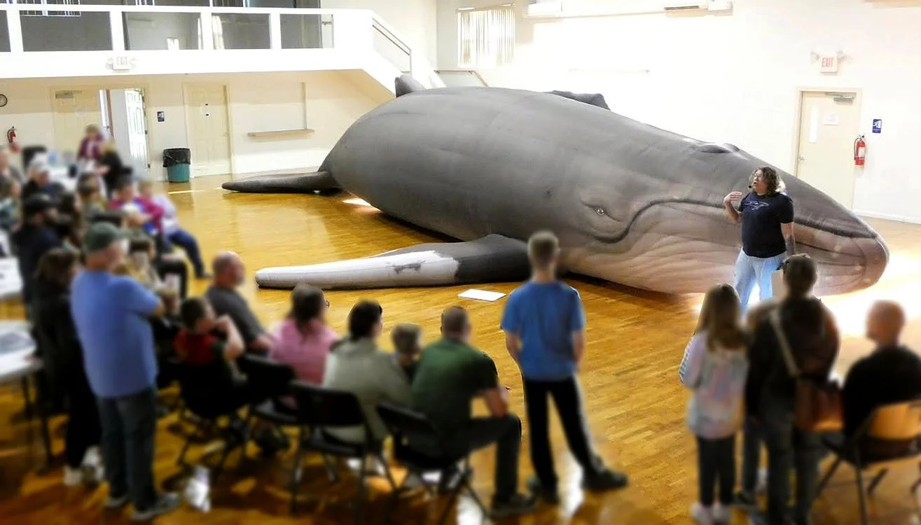 (WMTW) Go Inside a Whale: Maine Educator Touring the State with a Unique Opportunity