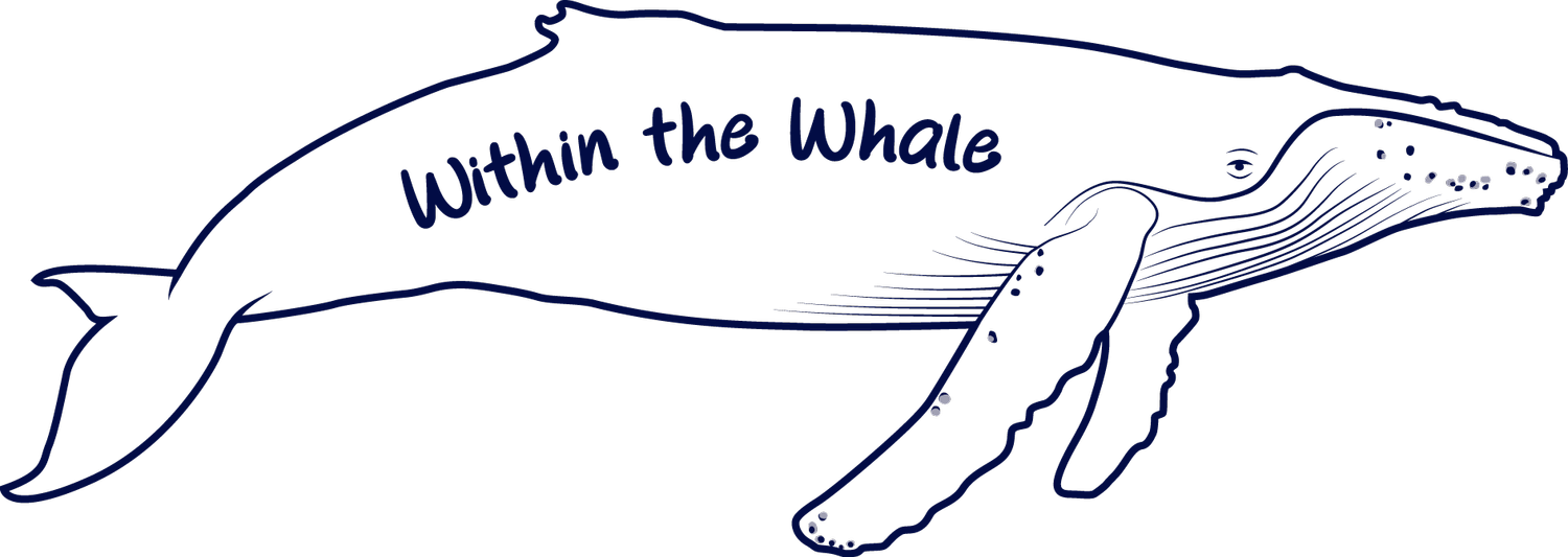 Within the Whale