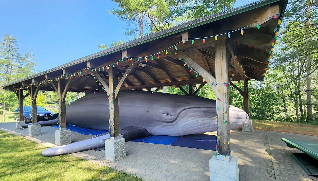 (NEWSCENTER Maine) Climb Inside a Whale: Maine Wildlife Educator Teaches About Ocean Life with Life-Size Exhibit