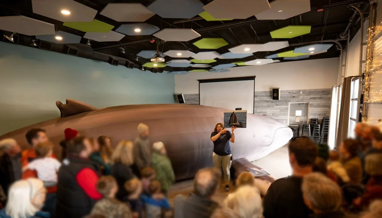 (PEOPLE) Woman Goes Viral After Designing Life-Size Inflatable Whale Replica to Honor a Beloved Humpback