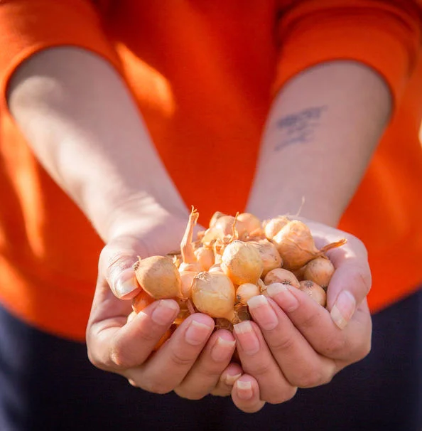 PA7A7071-3 - cropped.jpg