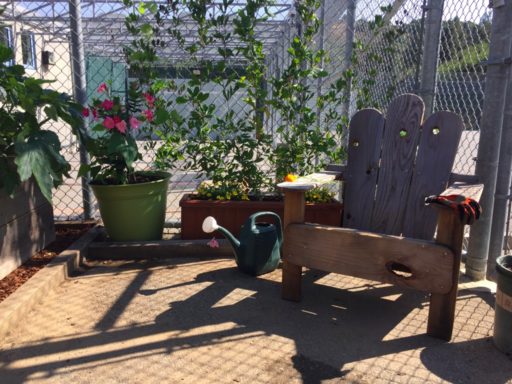 JH garden 3.png