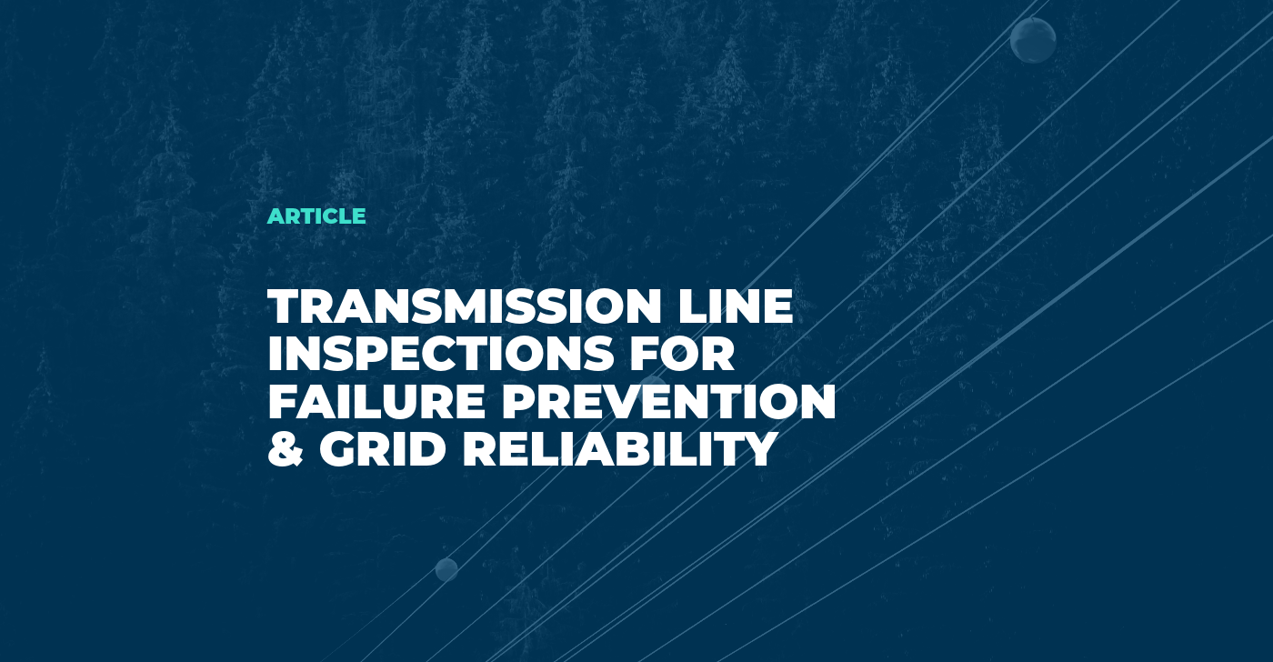 Transmission Line Inspection for Failure Prevention and Grid Reliability