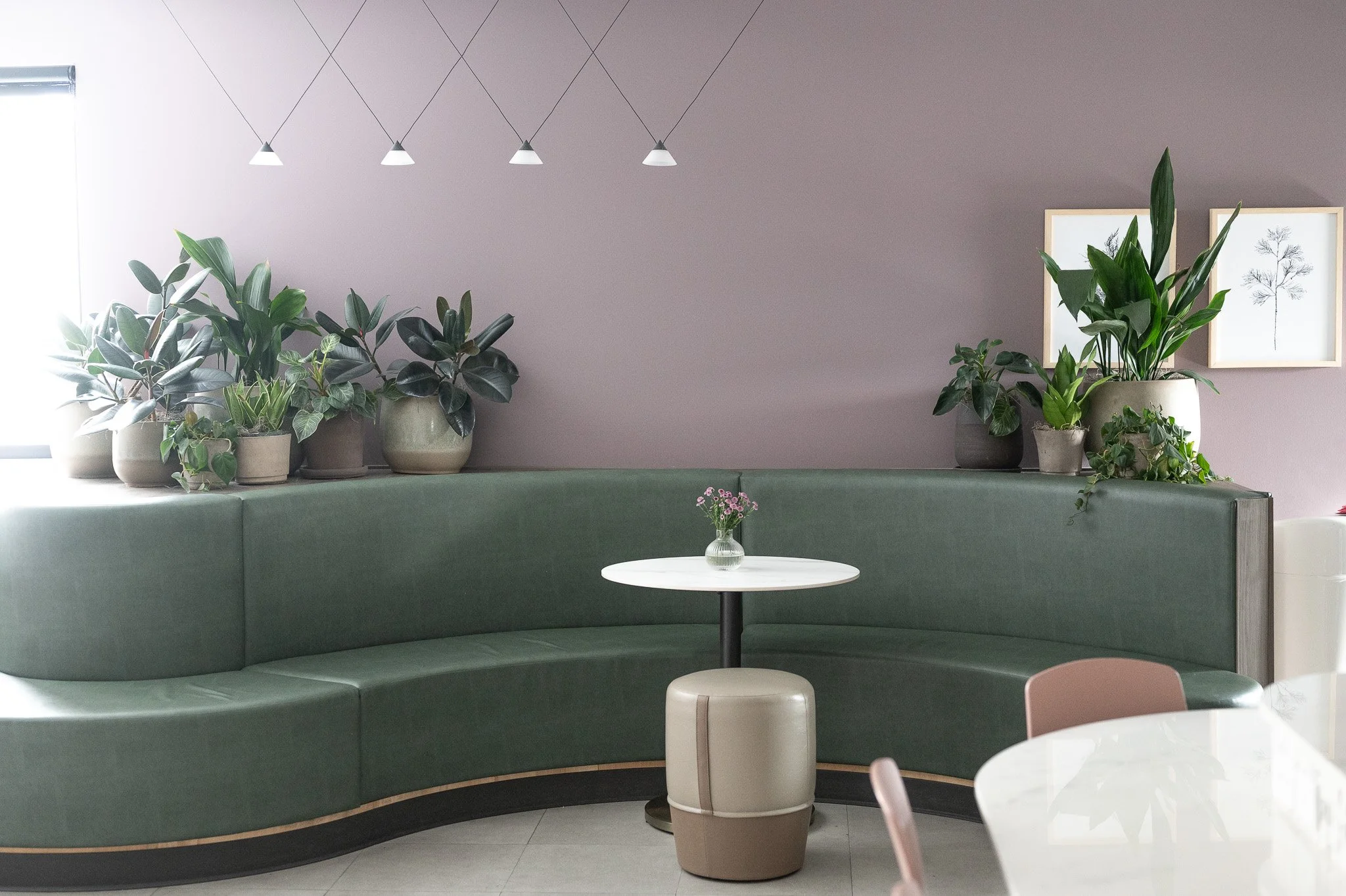 Acaydia Small (20).jpg