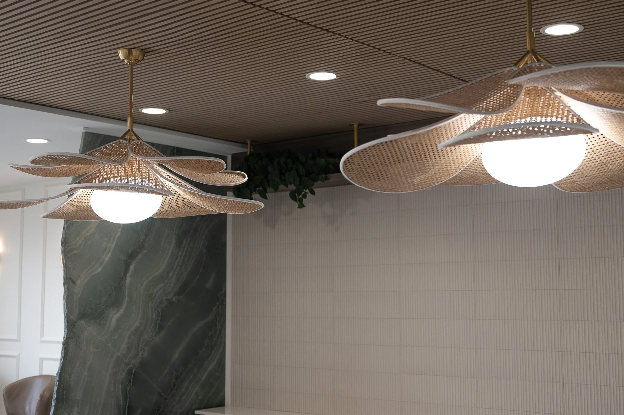 Acaydia Small (11).jpg