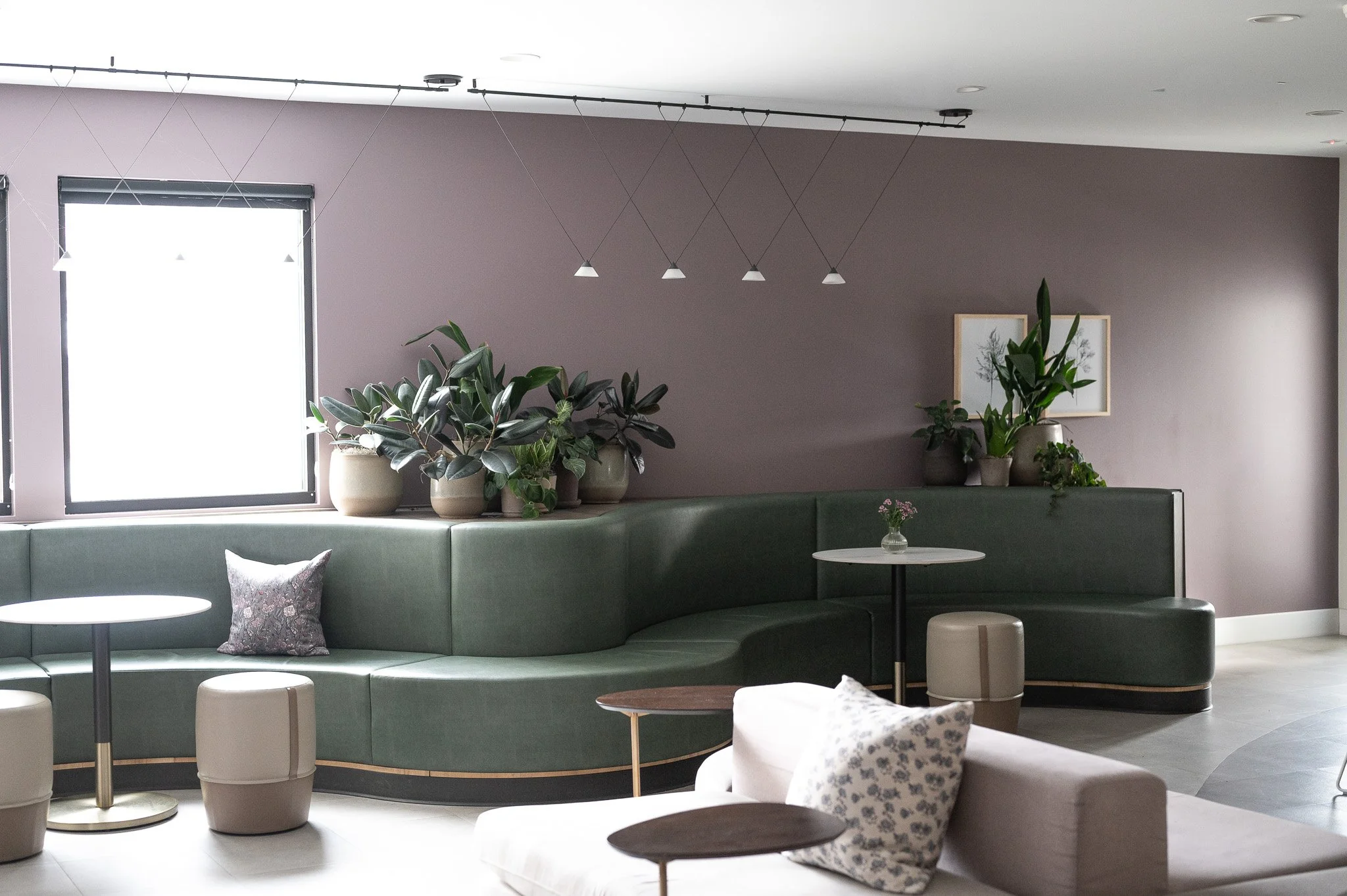 Acaydia Small (24).jpg