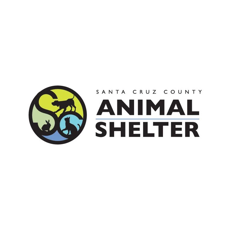 ANIMALSHELTER.jpg