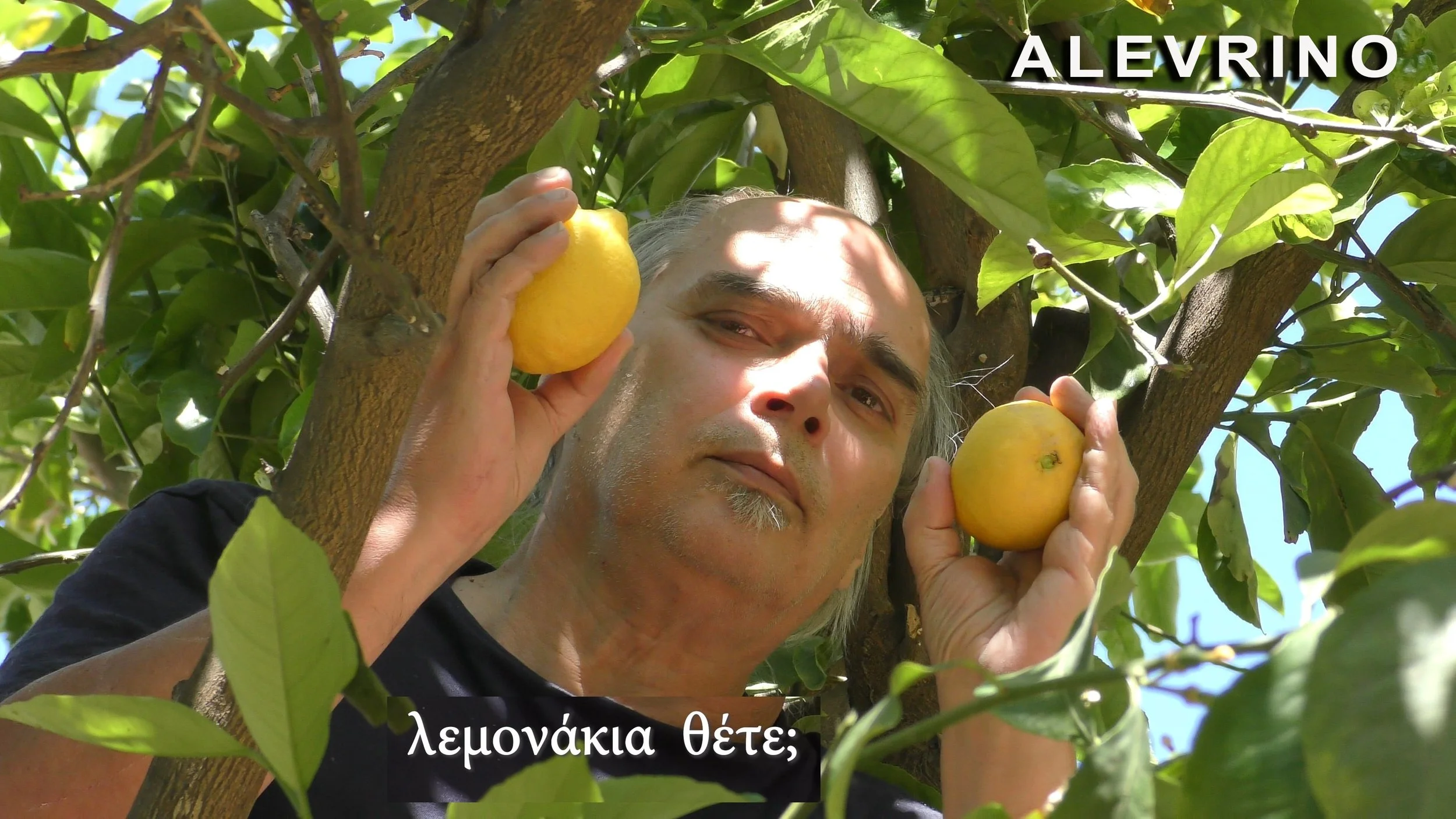 Αλευρίνο, το Σπέρμα του Σύμπαντος (4)-min.jpg