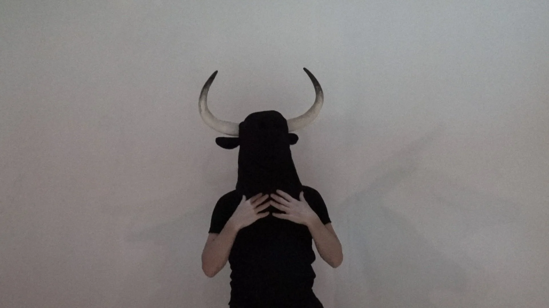 Η Καρδιά του Ταύρου (4).jpg