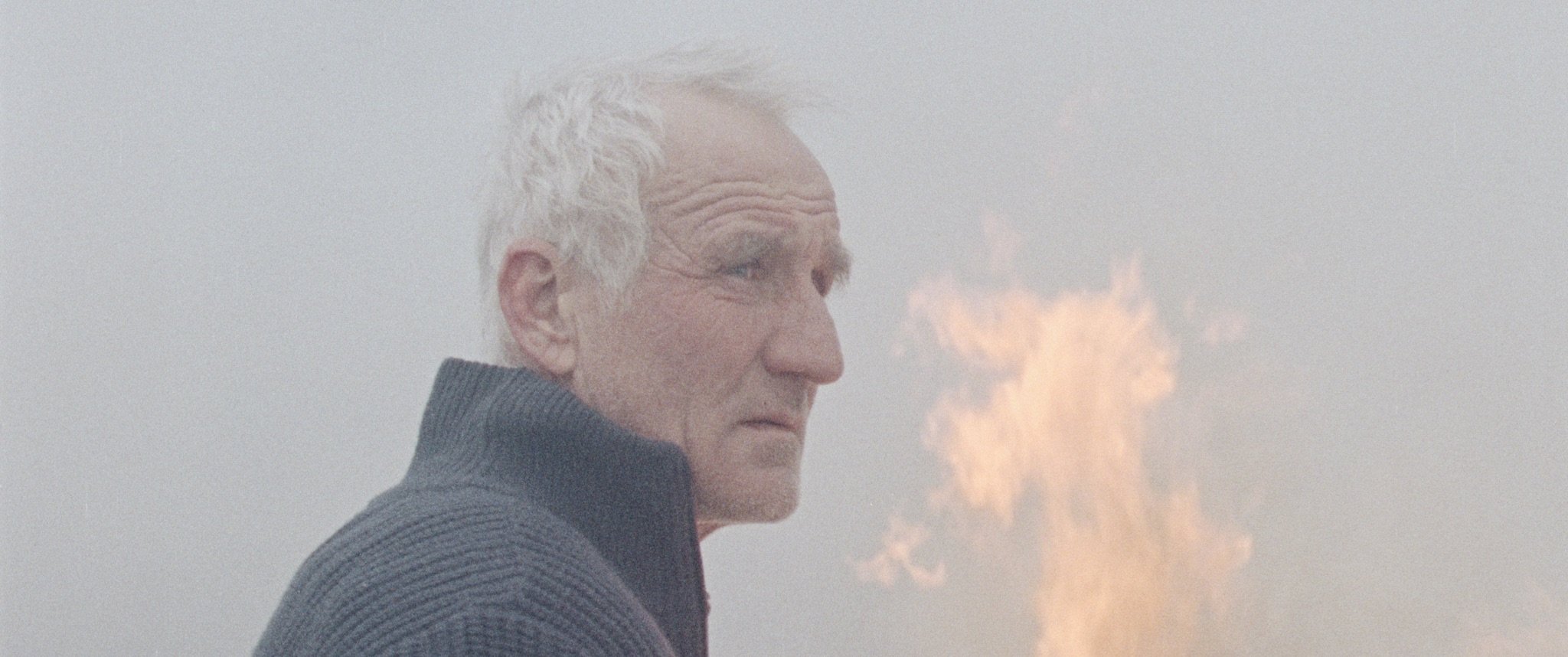 Ανάμεσα στις Καλαμιές  (1).jpeg