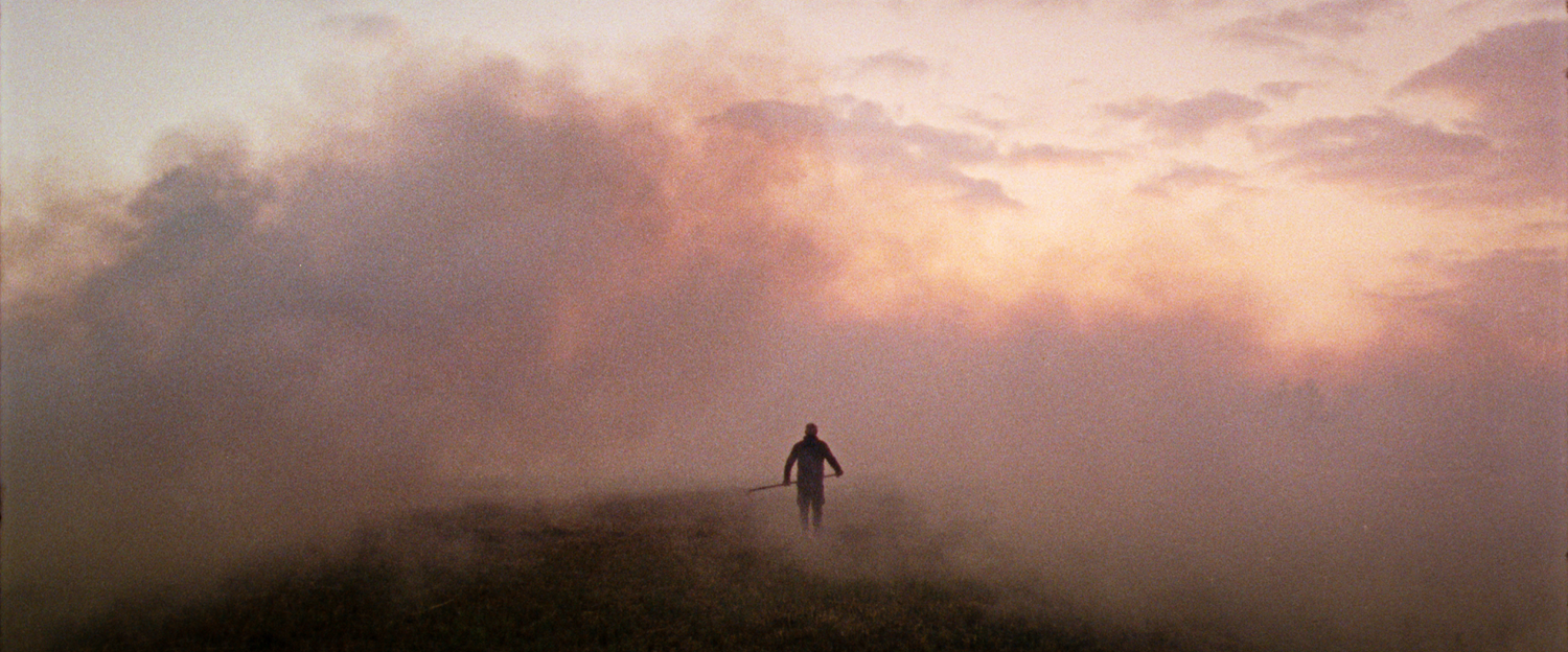 Ανάμεσα στις Καλαμιές  (1).png