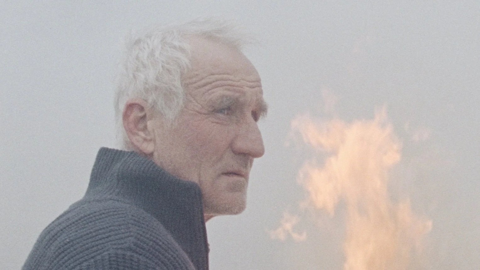 Ανάμεσα στις Καλαμιές