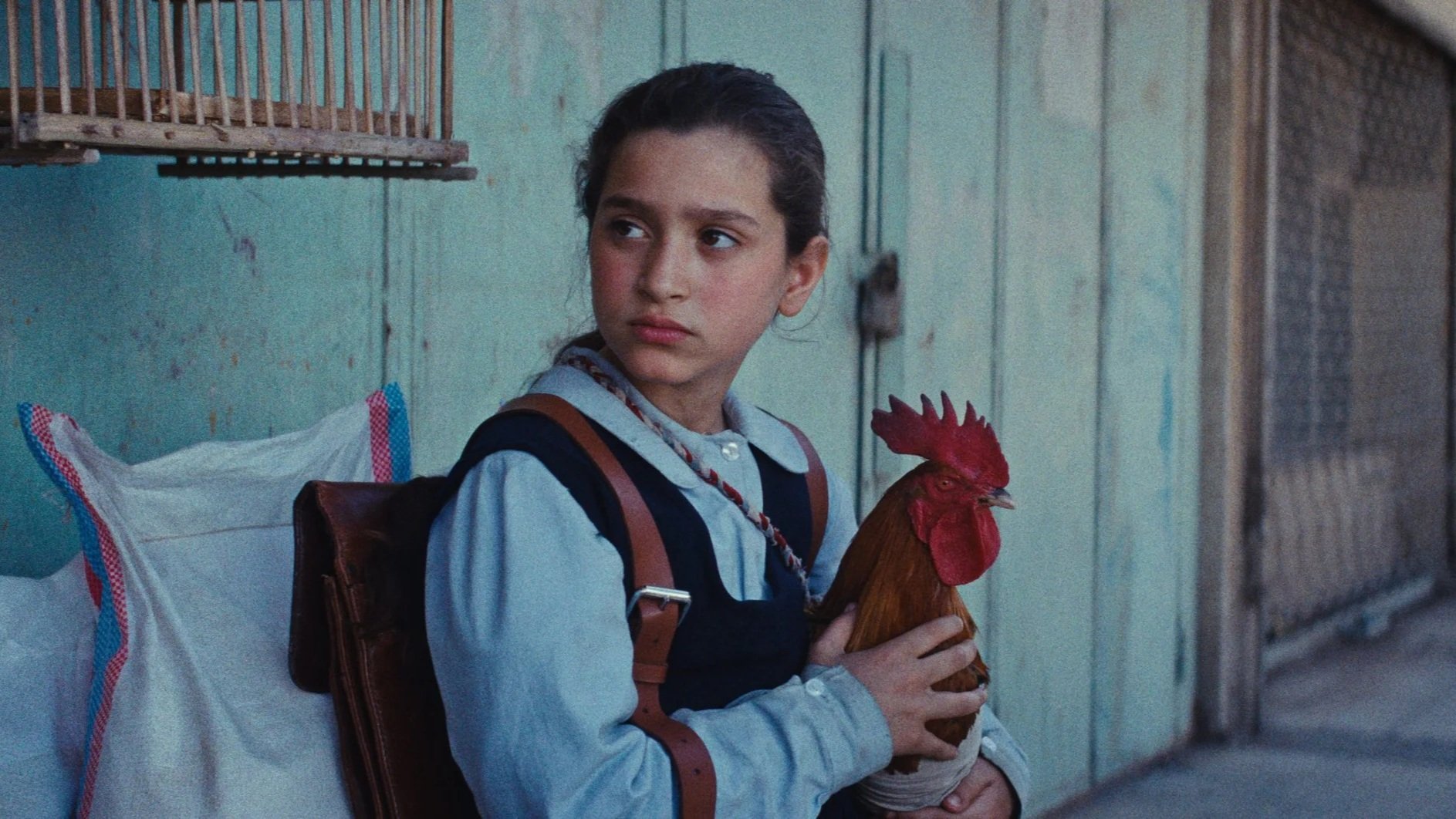 Η Τούρτα του Προέδρου