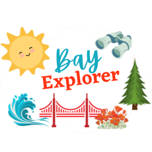 Bay Explorer