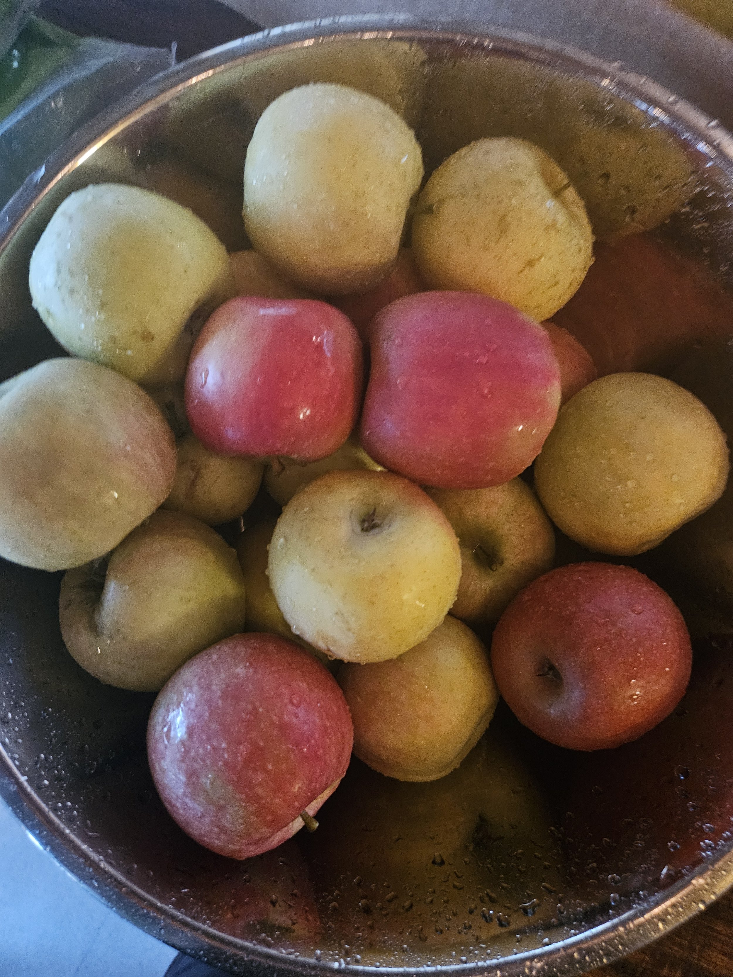apples in a bowl.jpg