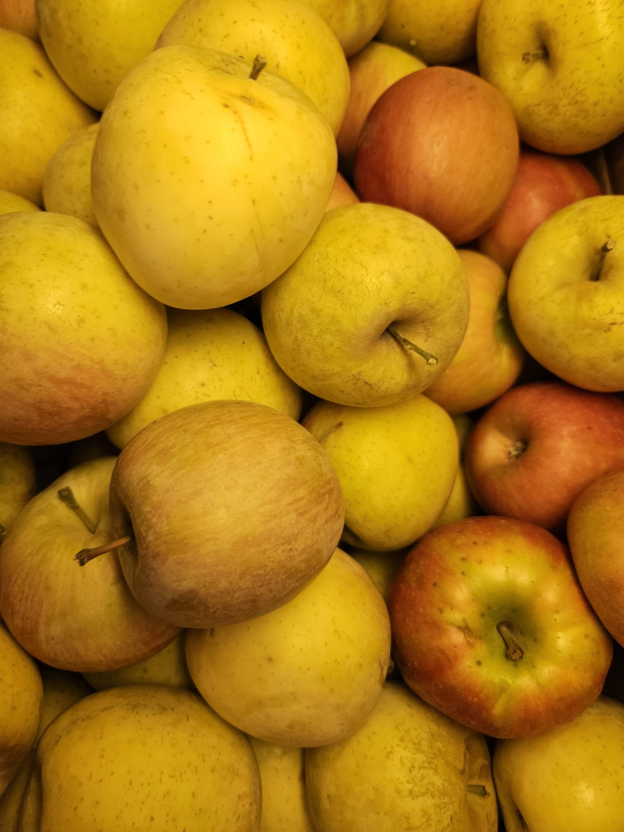apples.jpg