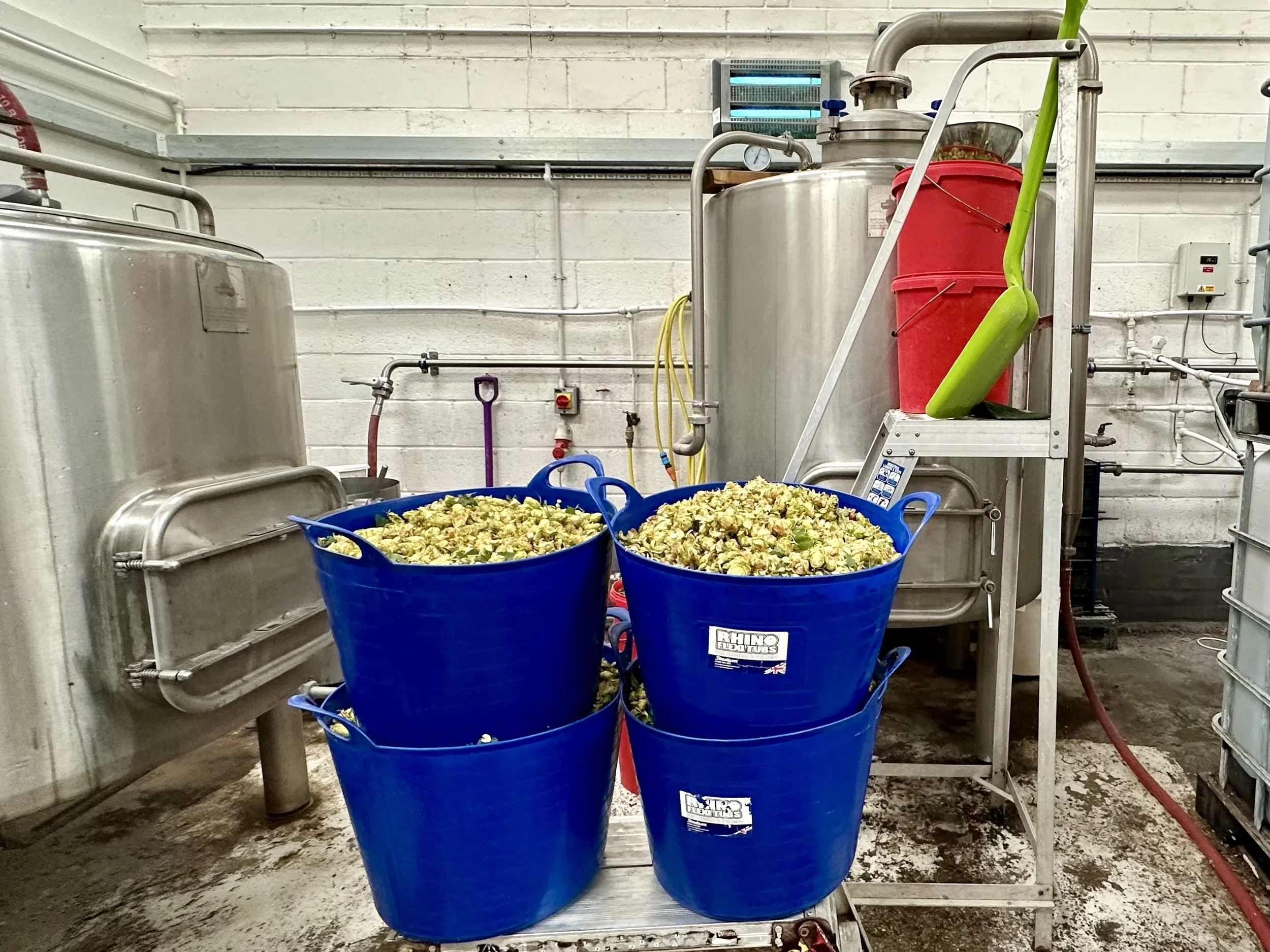 Hops waiting to go into the brew at Bexley Brewery