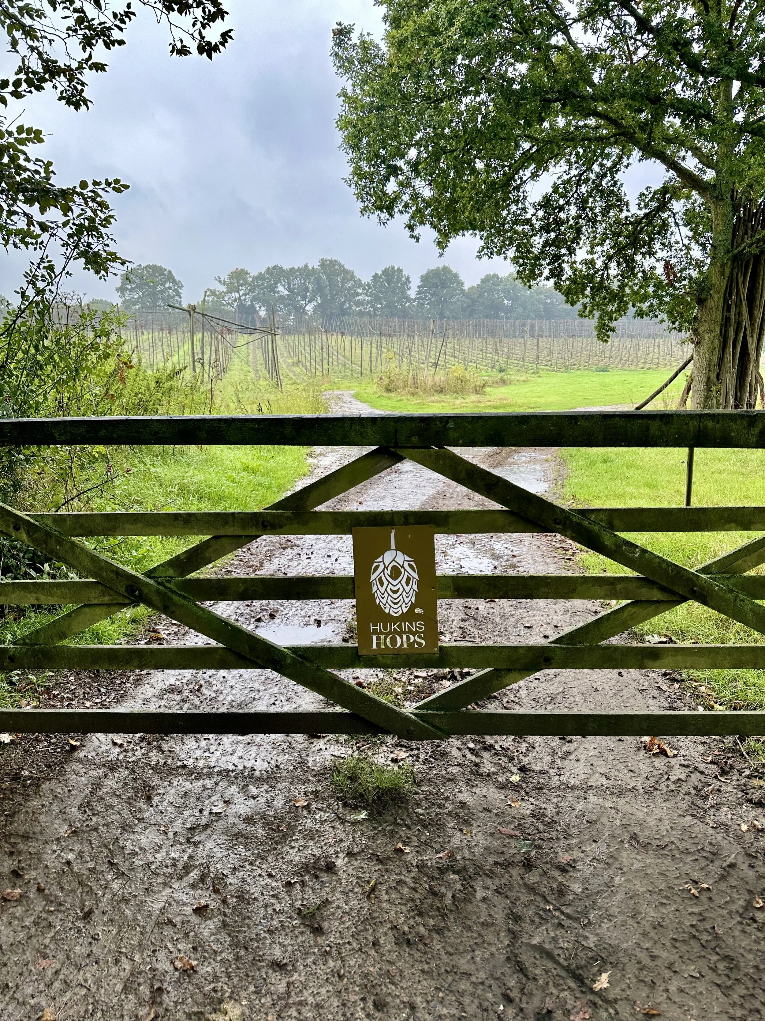 Gate at Hukins Hops