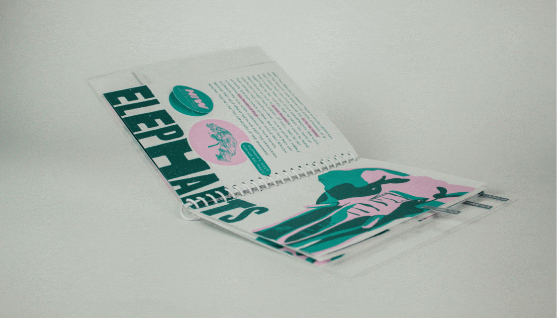 behancephotos.gif