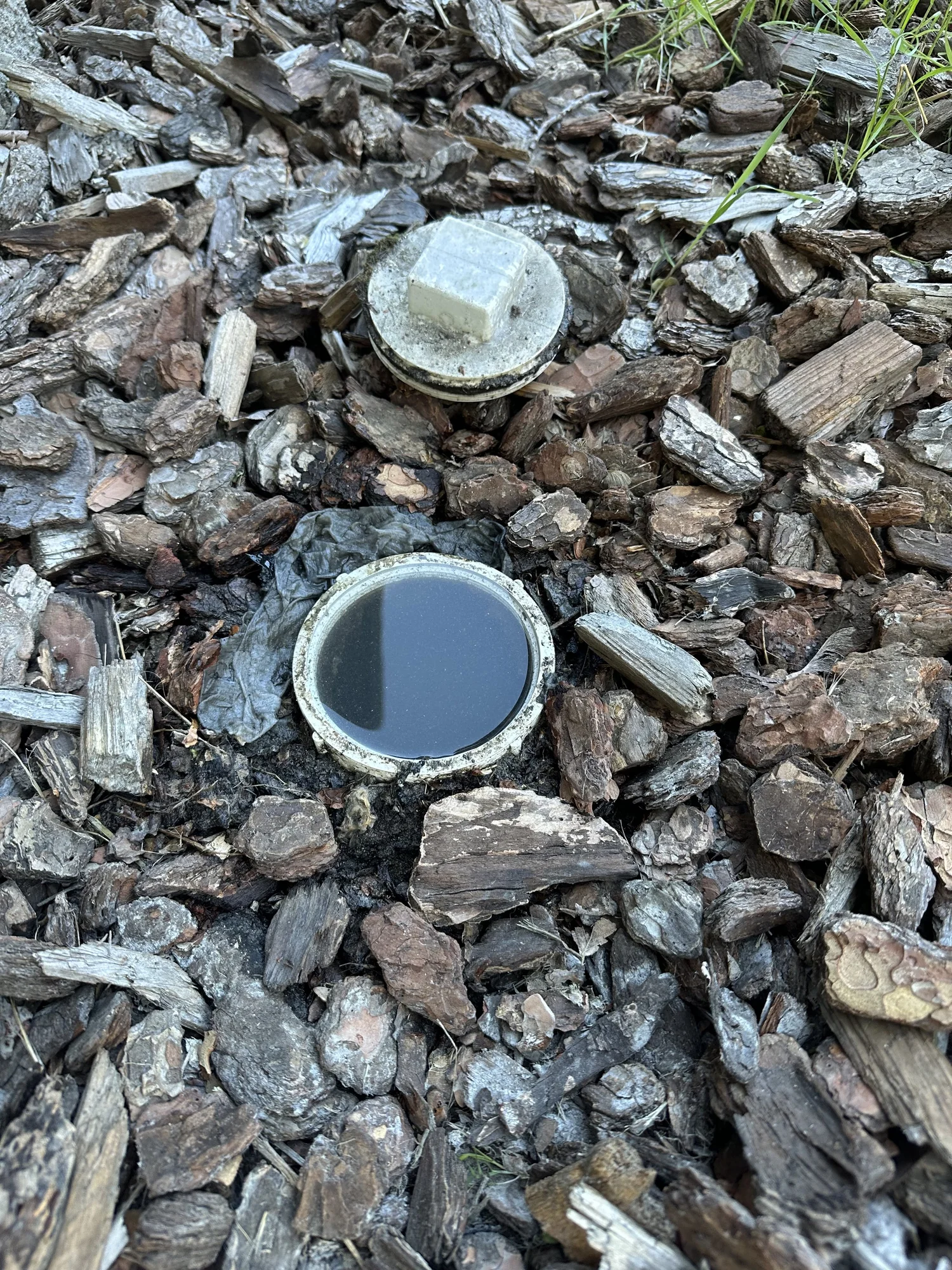 Backed-up sewer cleanout with standing water before drain cleaning