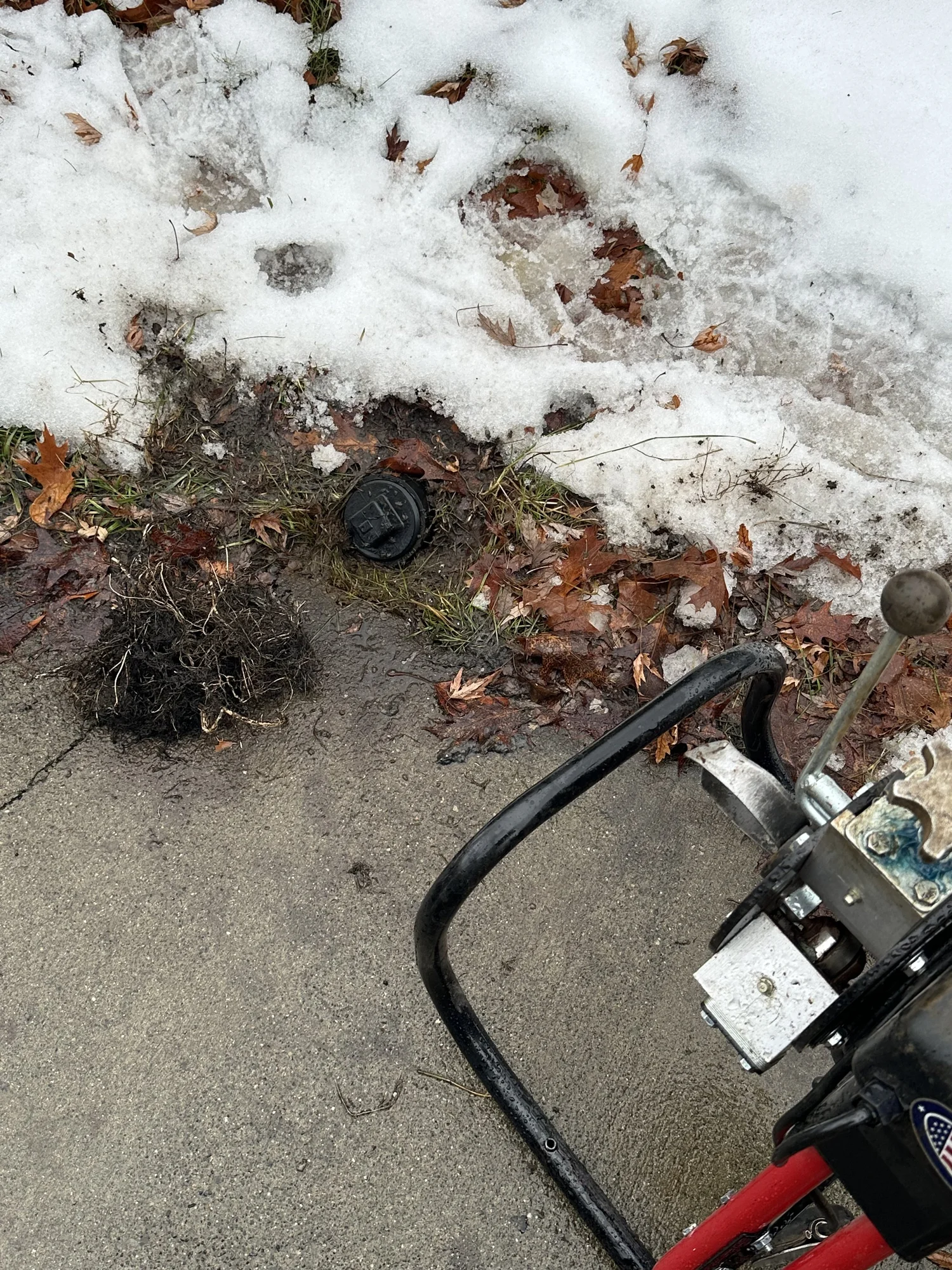 Tree roots removed from a sewer line during professional plumbing service