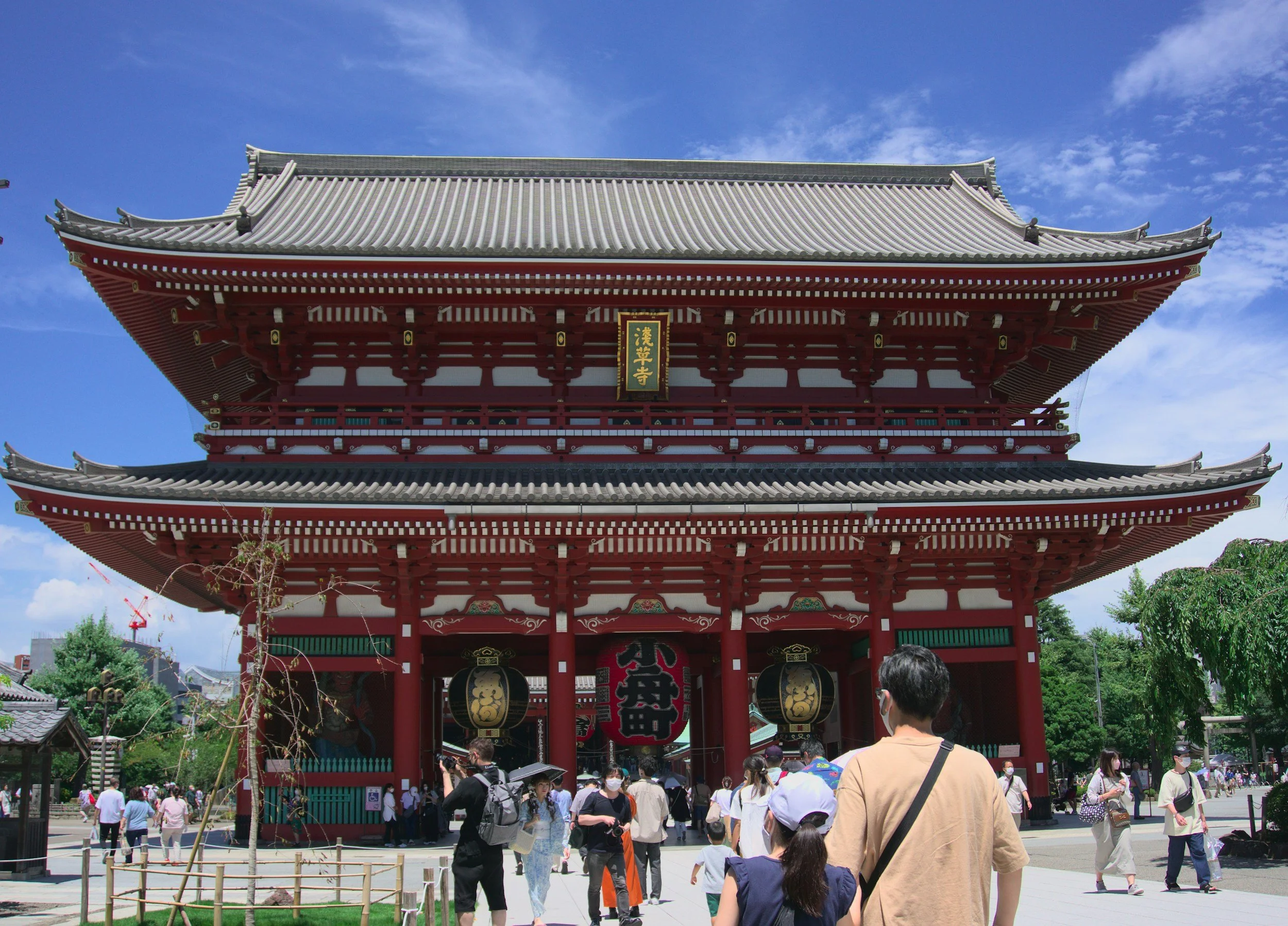 Meiji Shrine & Harajuku Omotesando