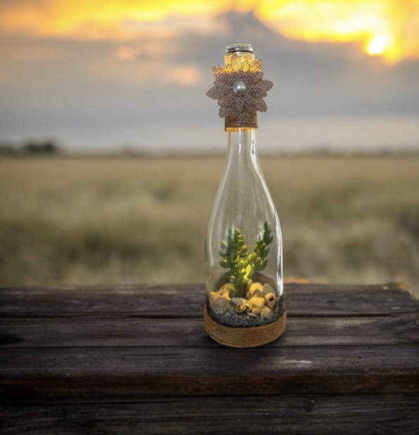 Item 379. Bottle with plants and light
