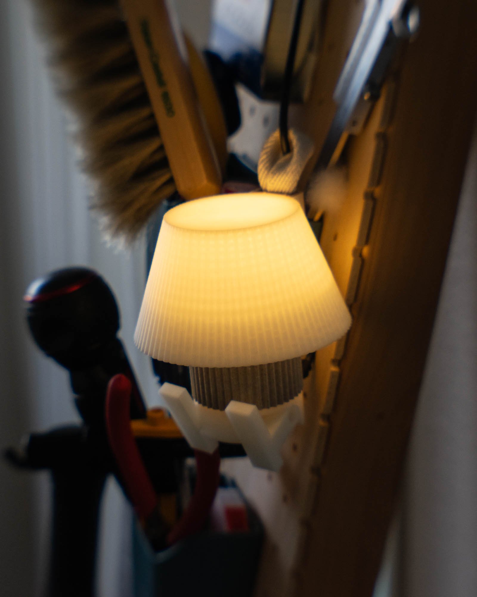 DSC02862.jpg