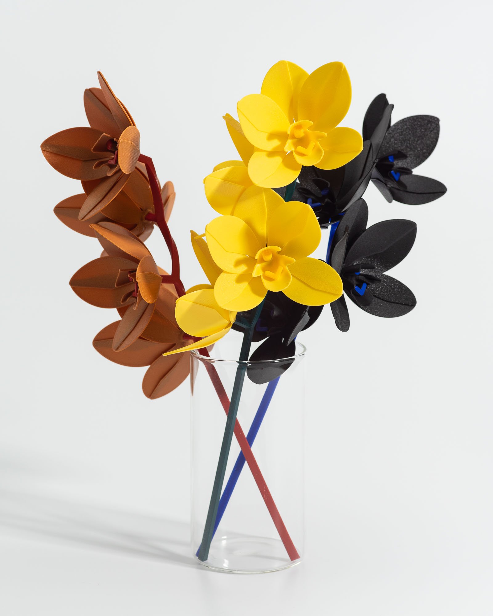 Hanagata シンビジウム