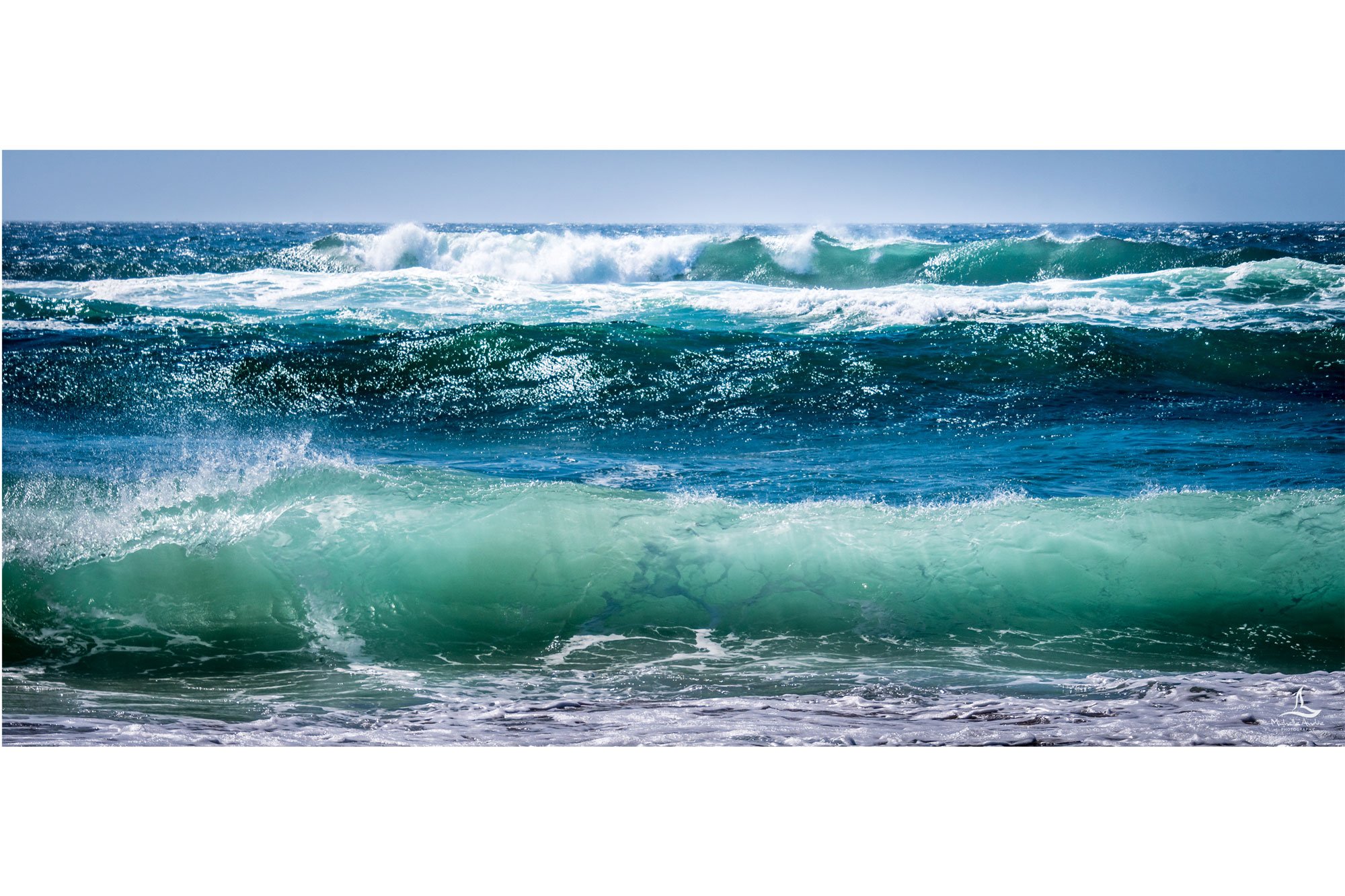 1_WILDPACIFIC.jpg