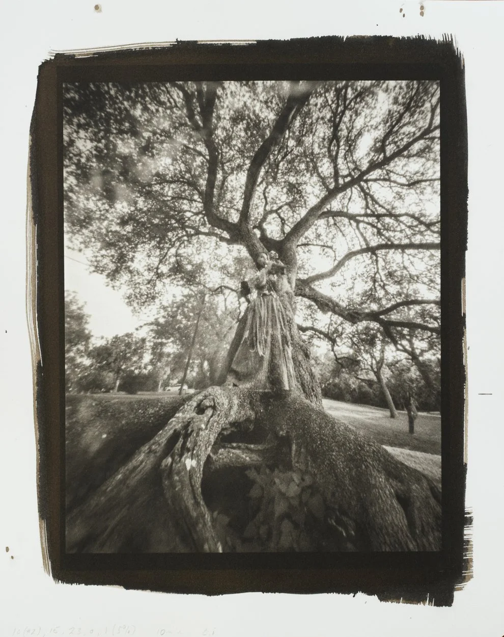 oconnell-New Prints-4_EO21365.jpg