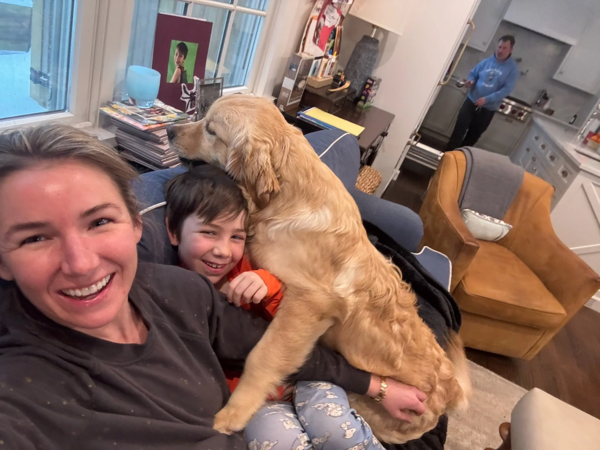 What Pickles the golden retriever puppy has taught me about interior design | Style and Space Interiors