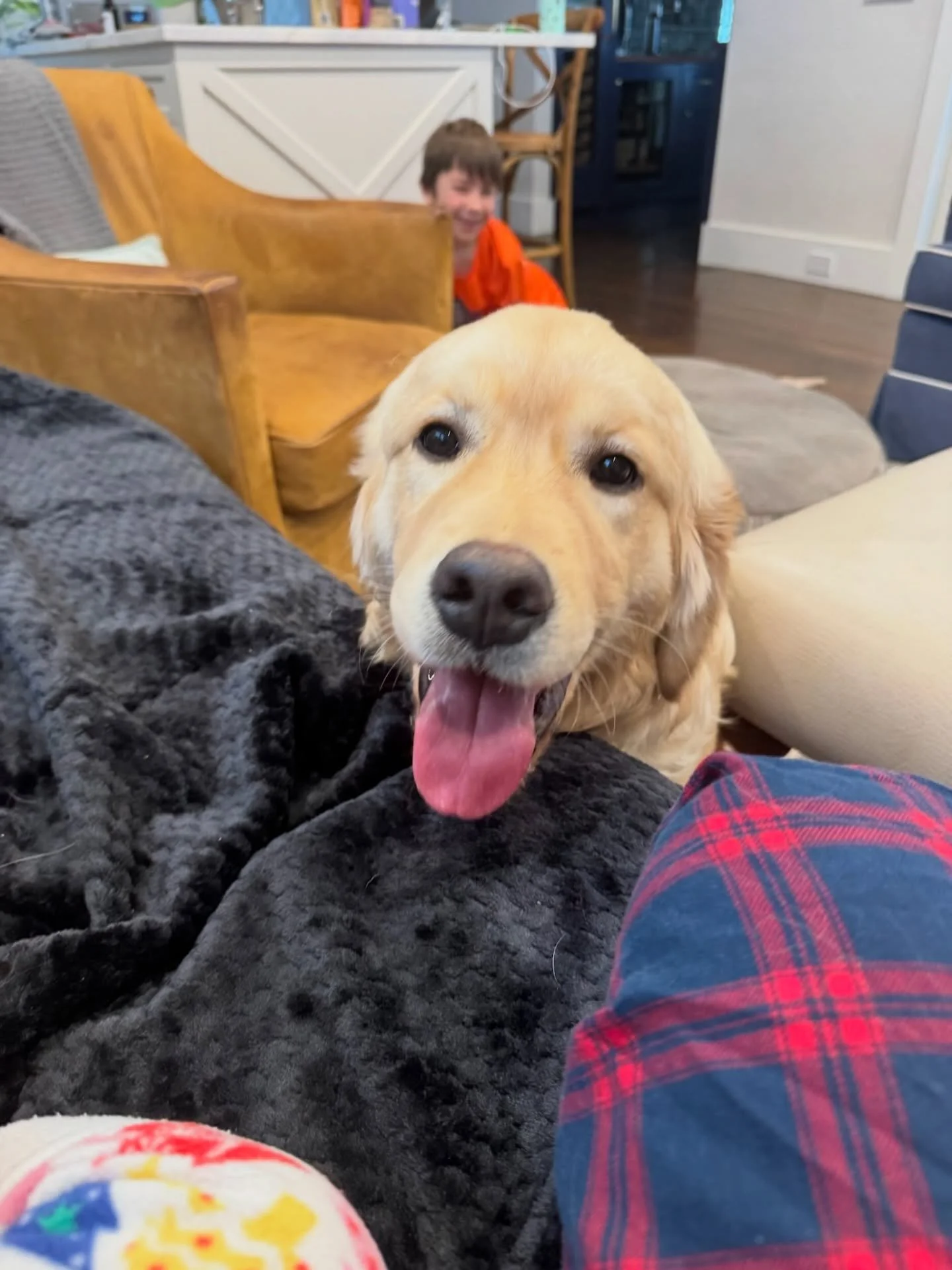 Meet Pickles, the newest addition to the Style and Space family! 🐕

Sweet, chaotic, lovable, and currently learning where not to pee. Bringing home a golden retriever puppy has been equal parts joy and reality check, and it&rsquo;s deepened my empat