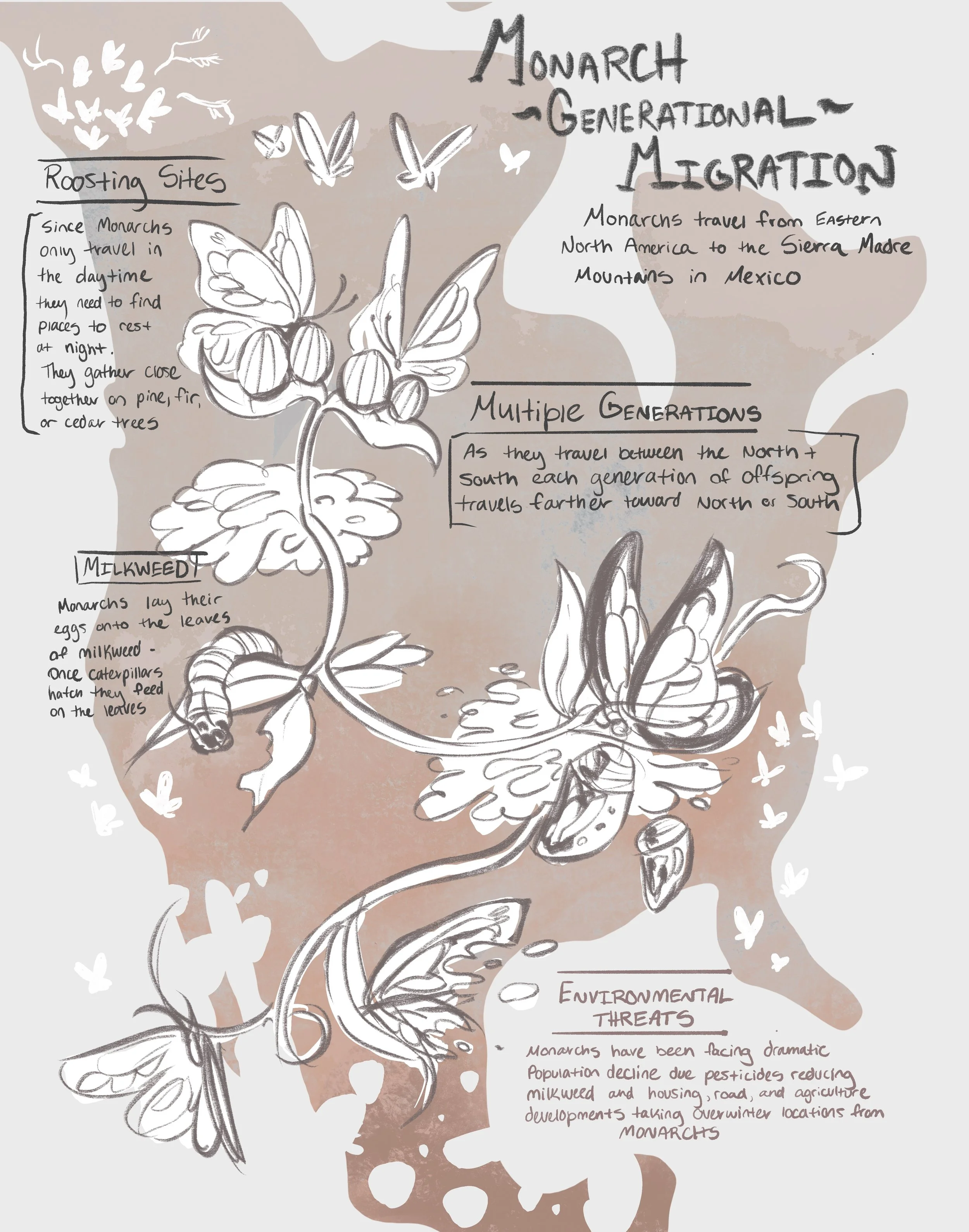 Untitled_Artwork 133.jpg