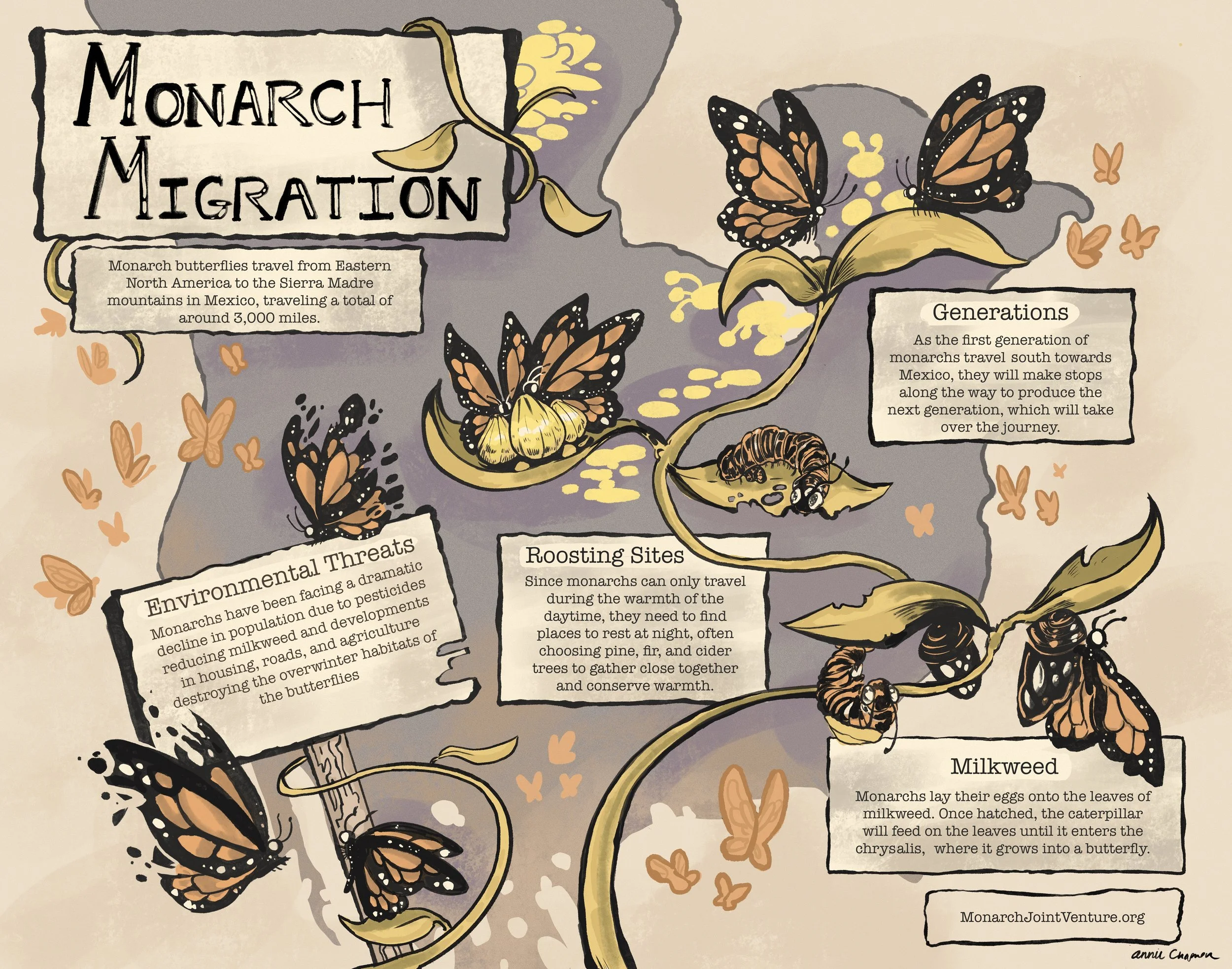 Untitled_Artwork (1).jpg