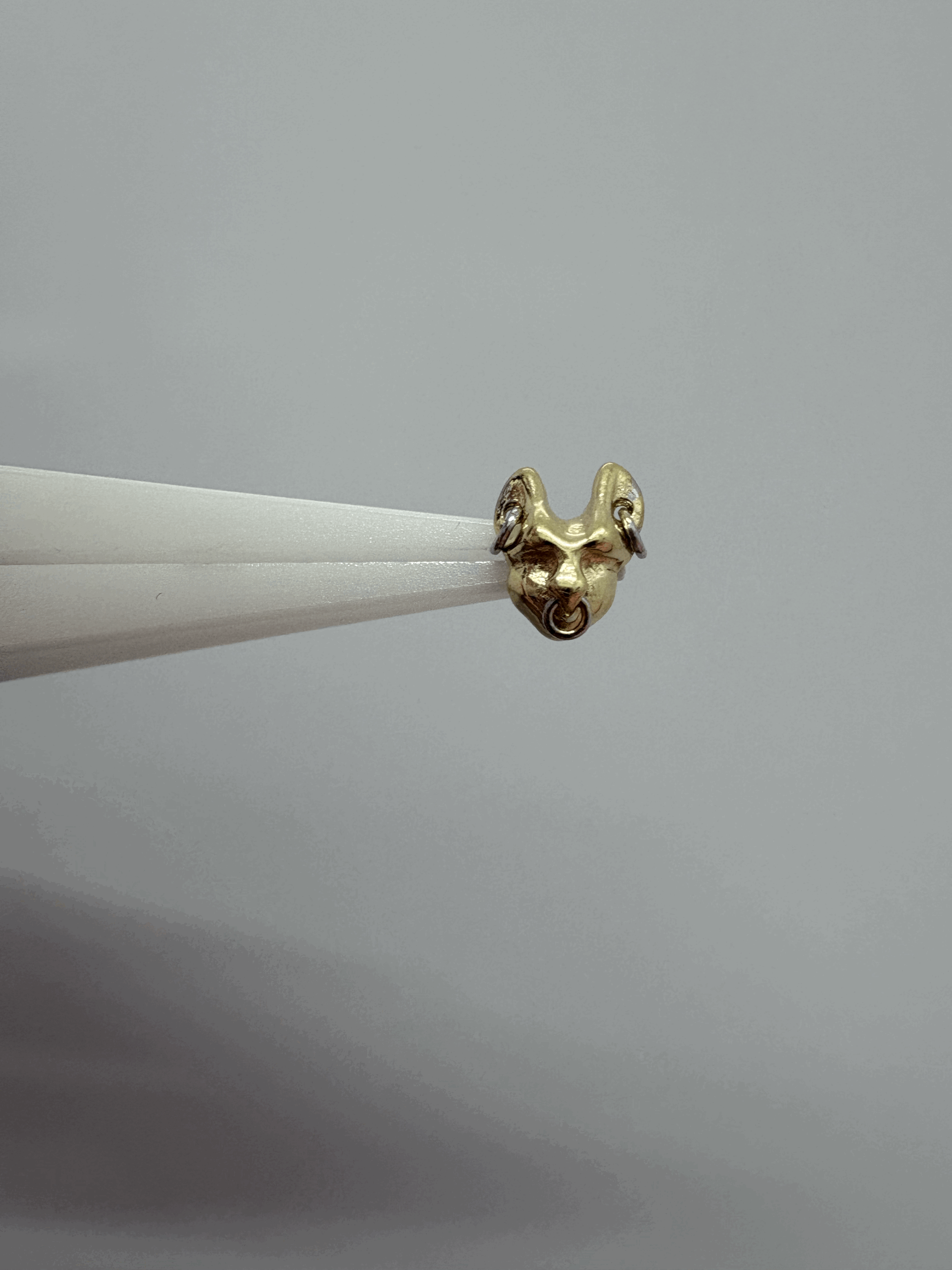 Pupil Hall MEW MEW 2025