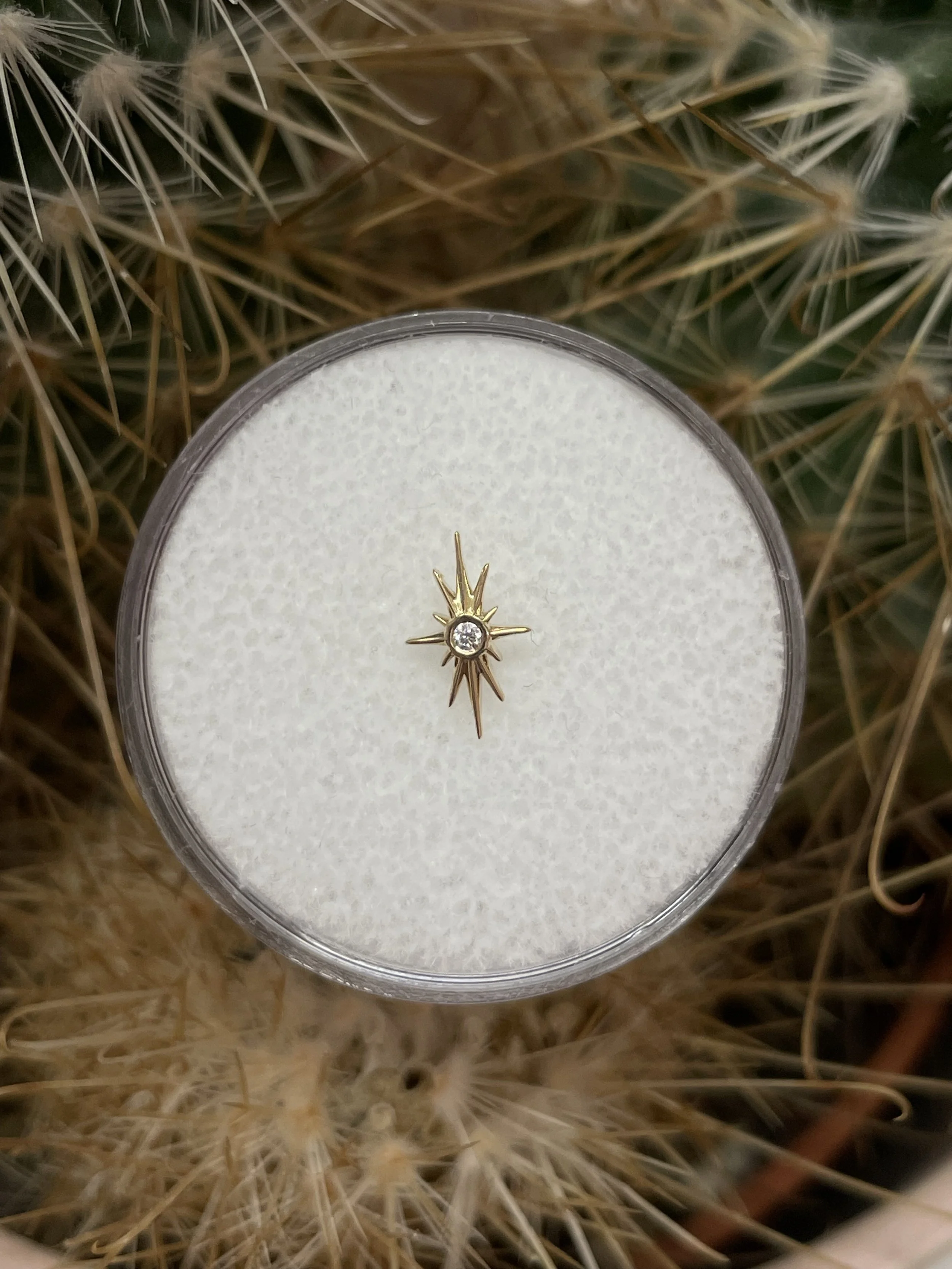 BVLA 14ct Gold 'North Star'