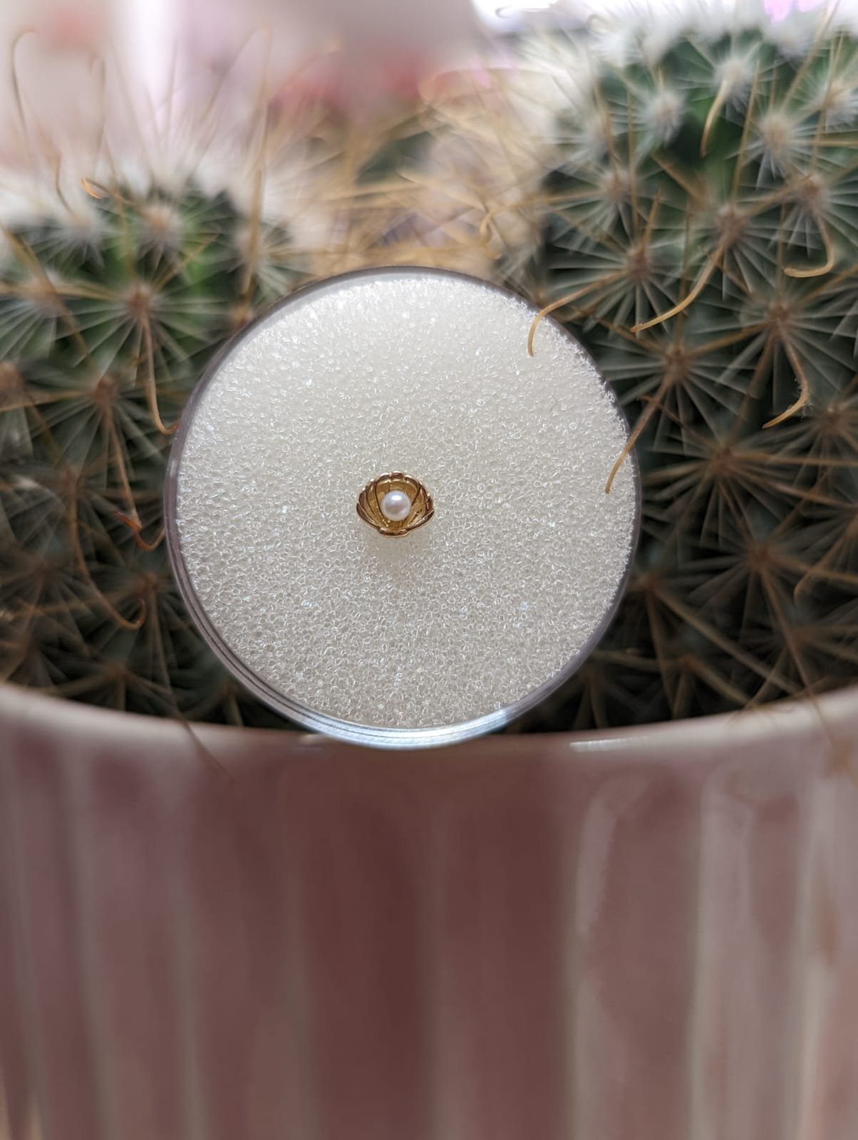 Junipurr 14ct Gold 'Shellby'