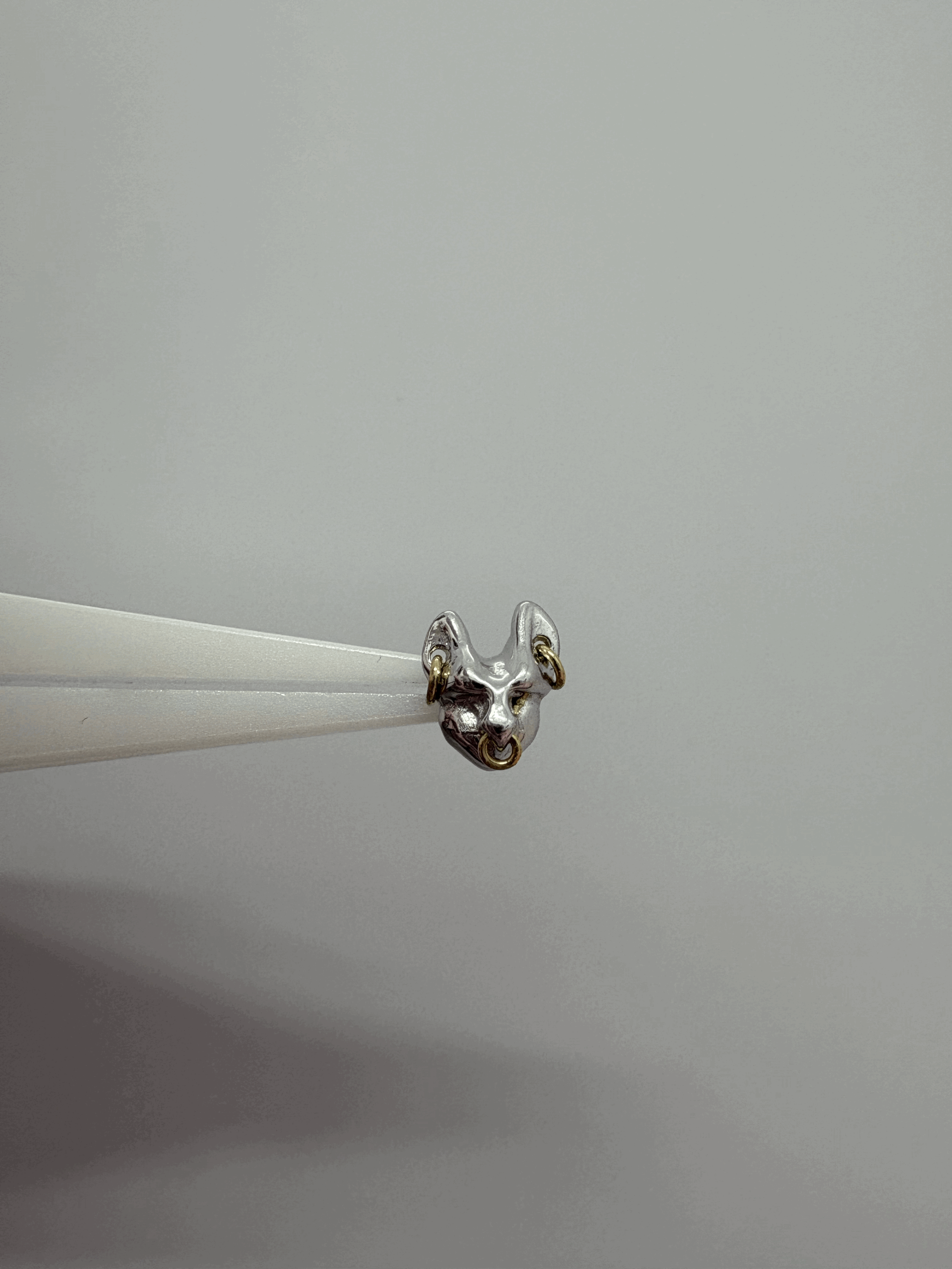 Pupil Hall MEW MEW 2025