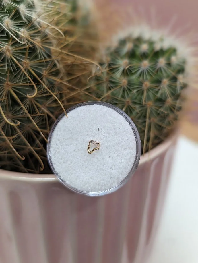 Pupil Hall 14ct Gold - 'Mini Major with Chain' — The Owl & the Pussycat ...